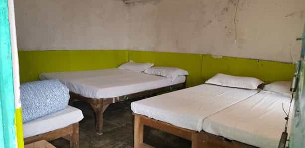 Basic hotel room with three wooden beds, white linens, and a bright green accent wall.