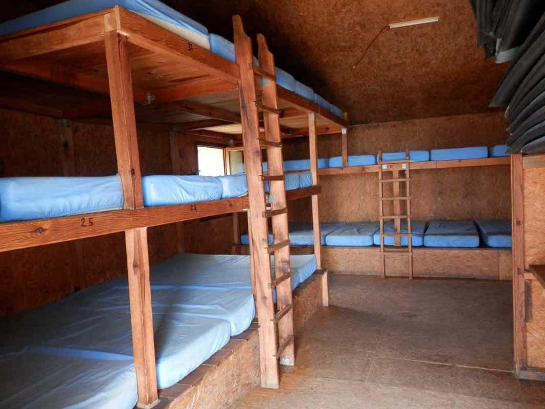 Wooden bunk beds with blue mattresses inside a rustic shelter with wood paneling.
