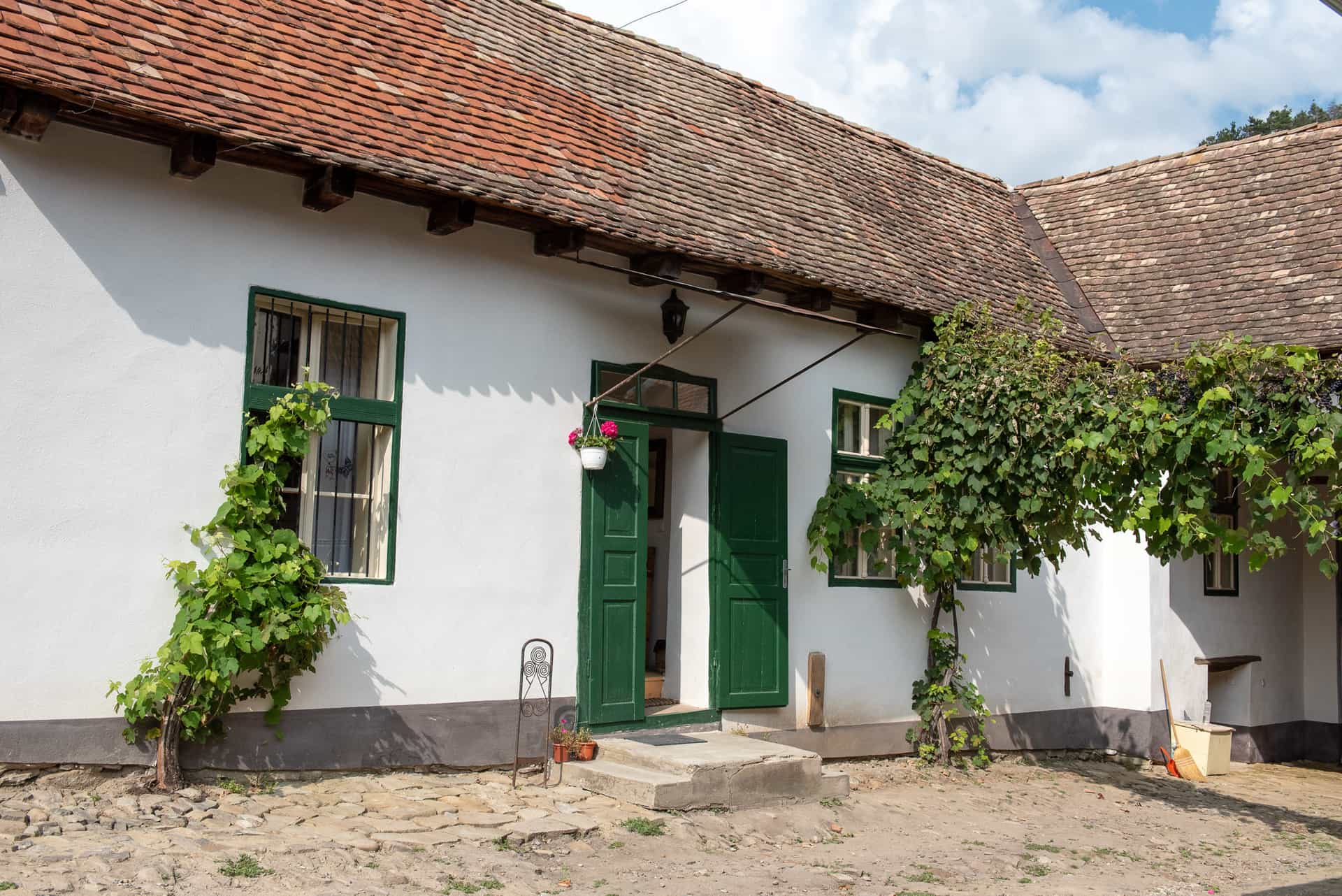 White stucco house with green shutters, terracotta roof, and grapevines outside in Transylvania.