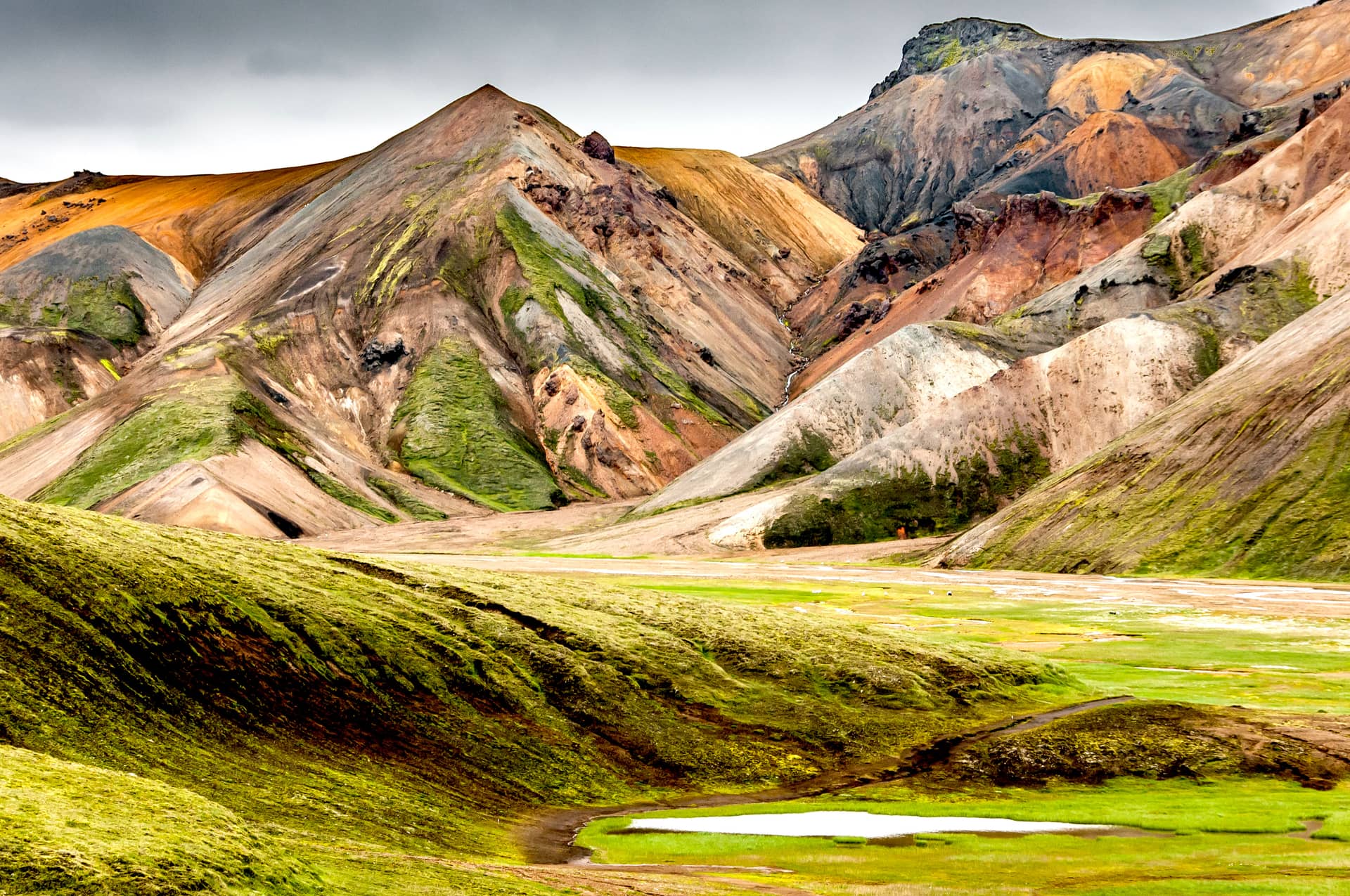 Colorful rhyolite mountains and green mossy foreground in Landmannalaugar under a gray sky.