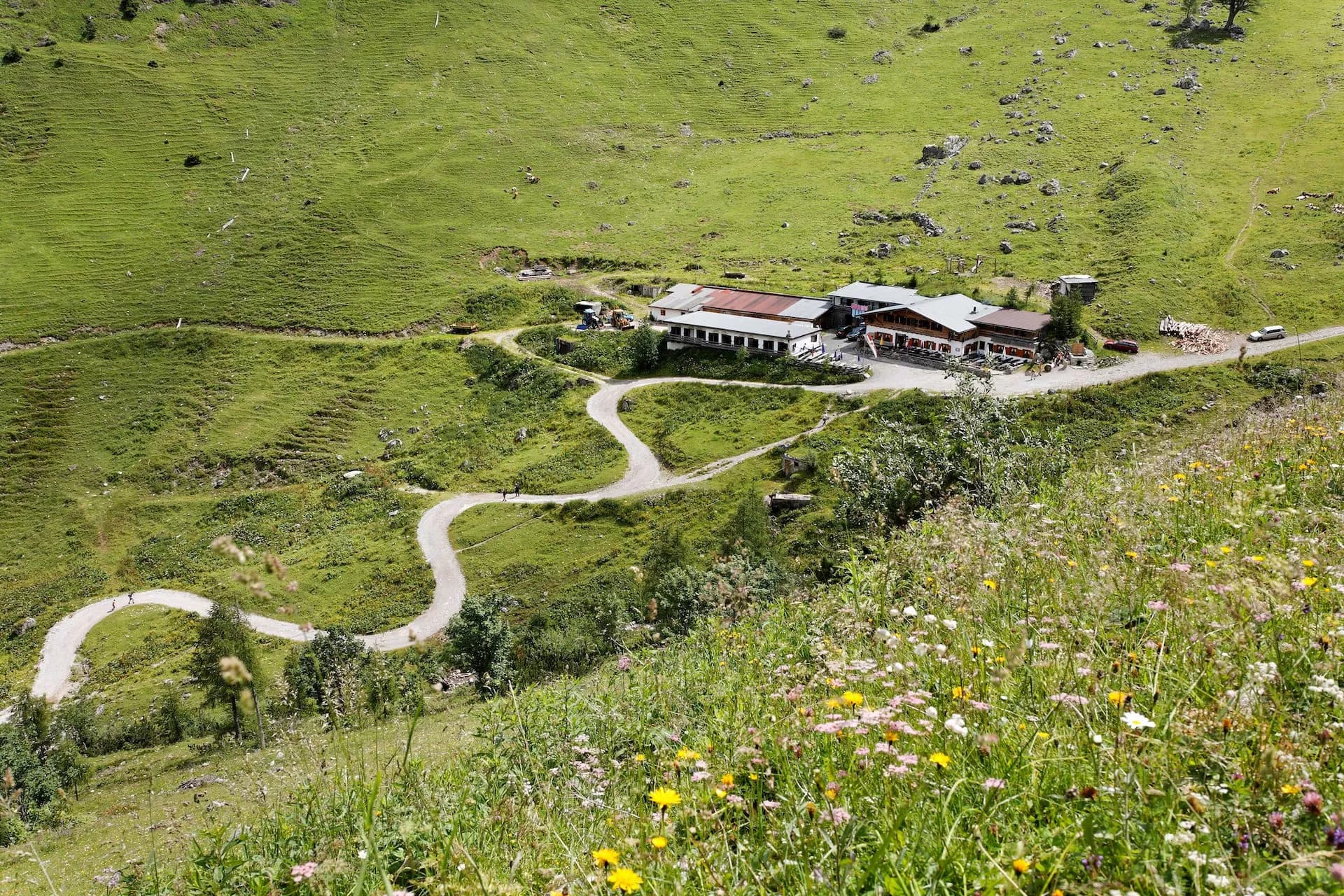 Alpine hut nestled in green meadow with winding dirt road and wildflowers