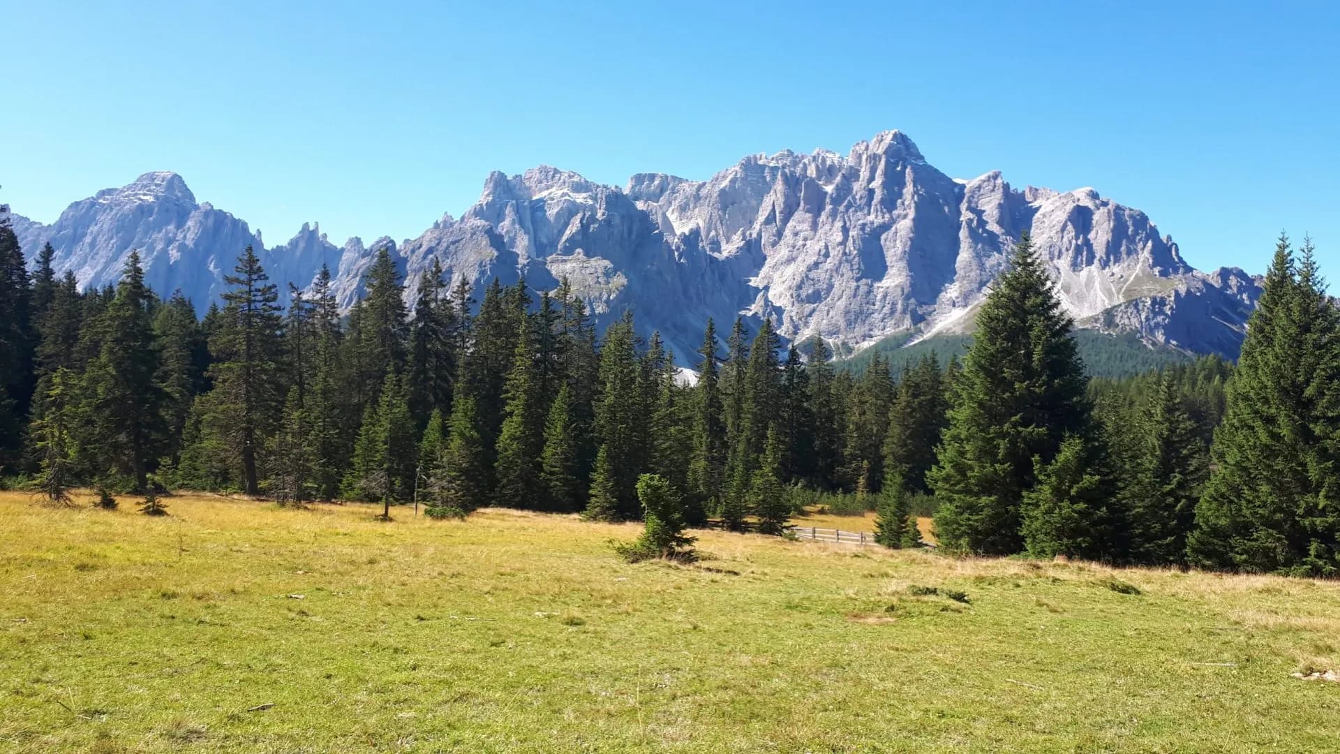 Hiking meadow below rocky mountains with pine forest, likely near Malga Nemes.