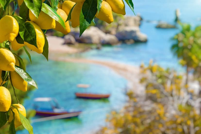 Lemons hanging from a tree branch overlooking turquoise Mediterranean coastal waters with boats.