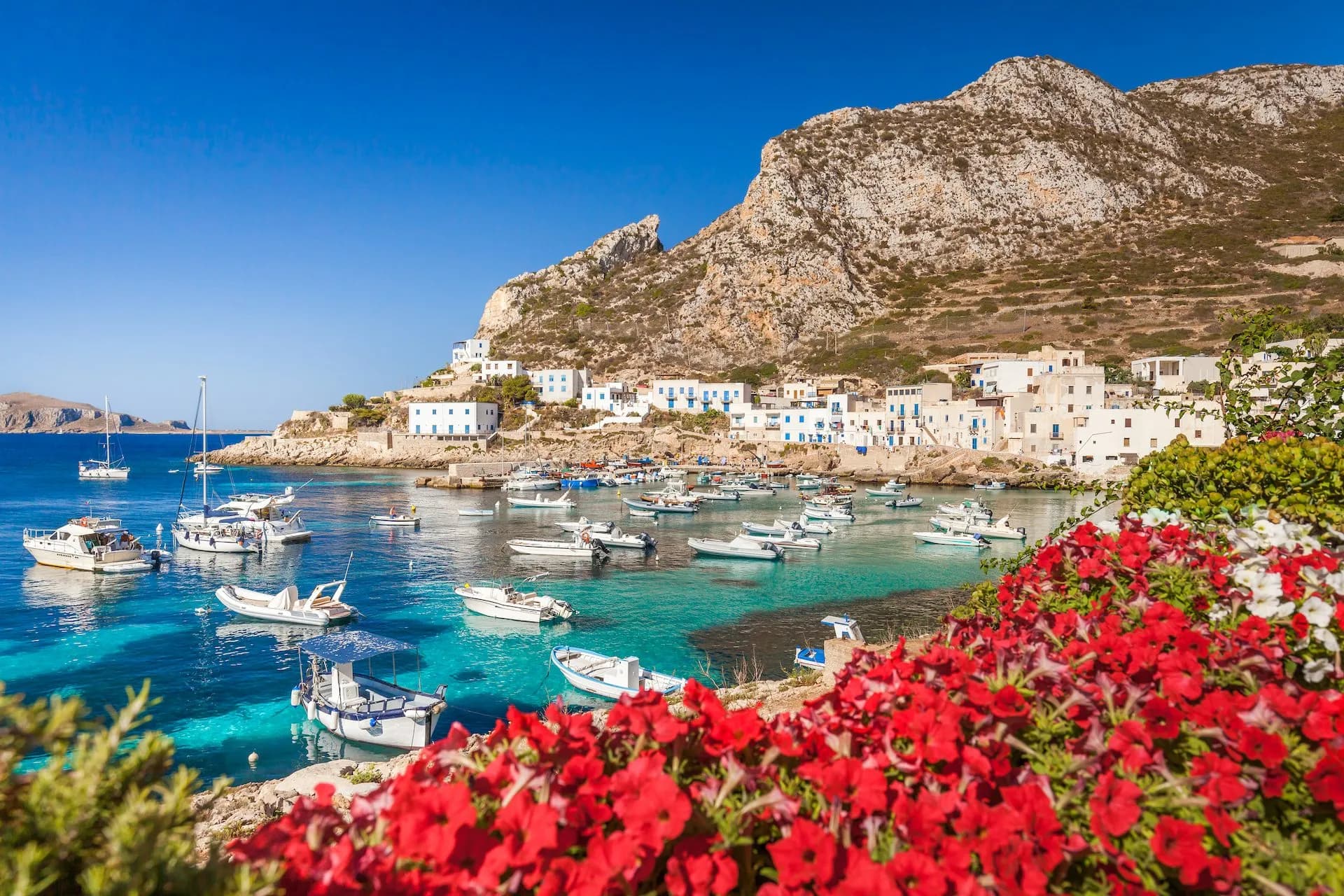 Boats in turquoise harbor below white buildings and arid mountain, framed by red flowers.