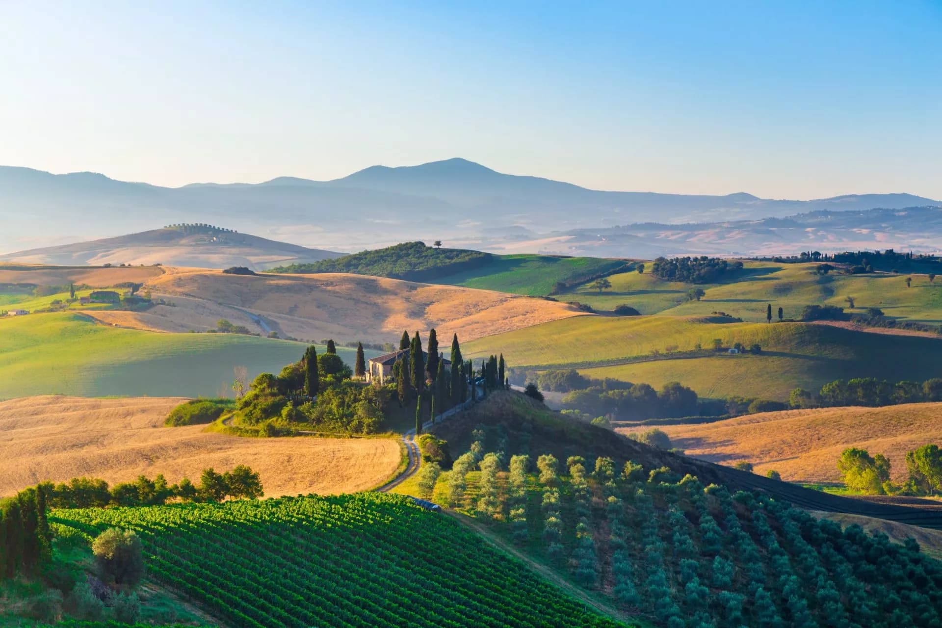 Rolling green and gold hills with cypress trees surrounding a farmhouse in the Val d'Orcia landscape.