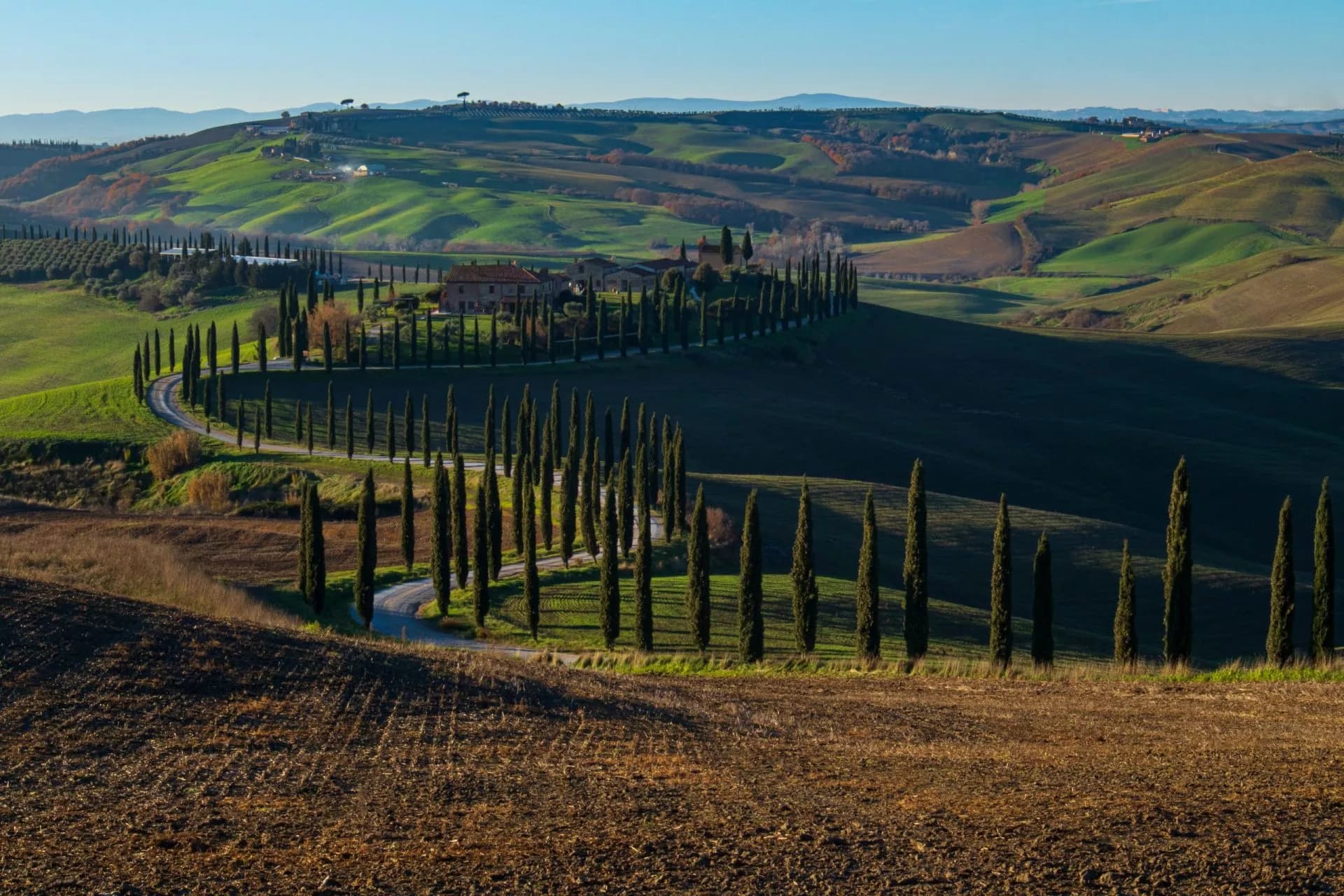 Winding road lined with cypress trees through rolling green and brown hills of Crete Senesi.