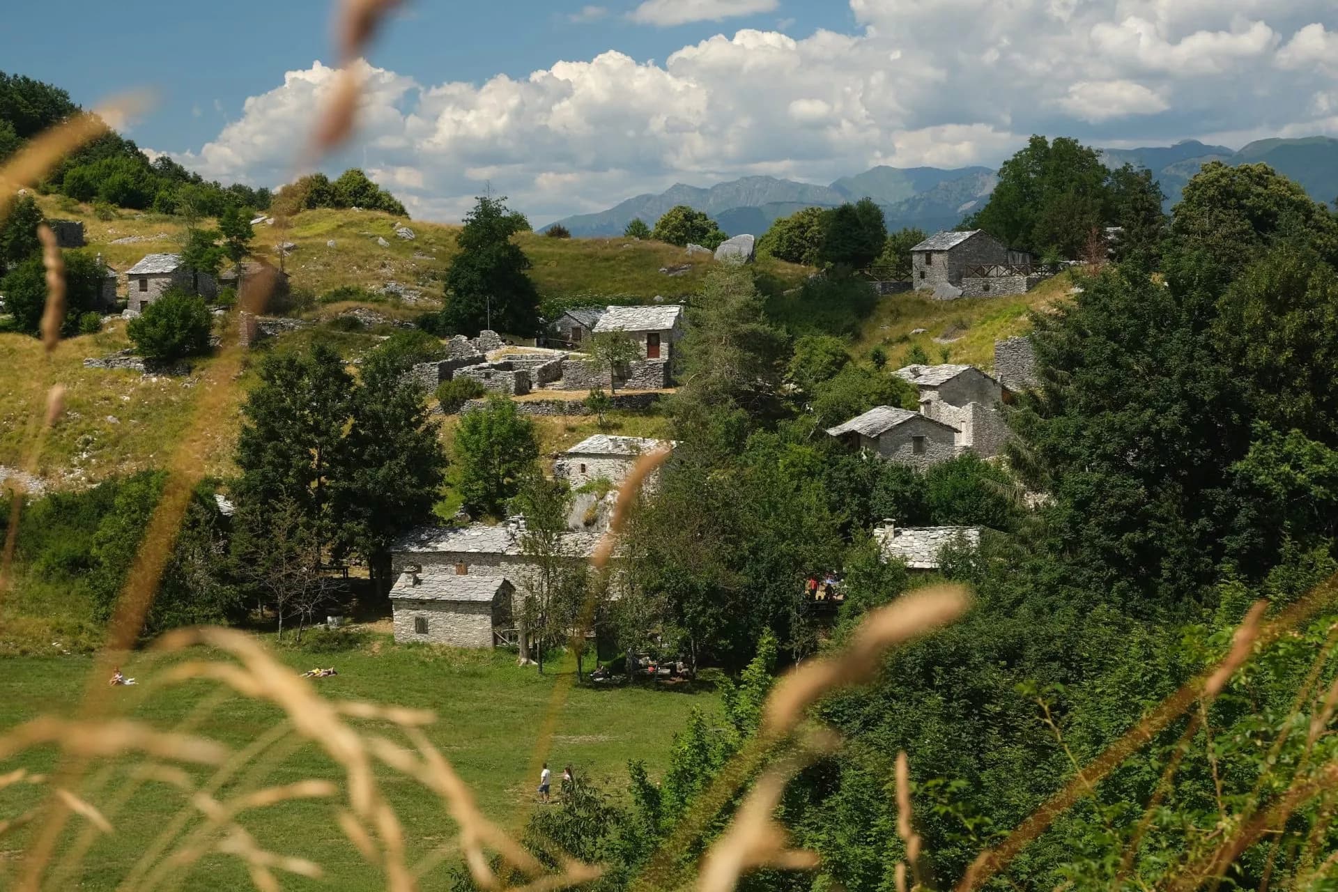 Stone houses in a mountain hamlet with green hills and distant peaks, viewed through tall grass.