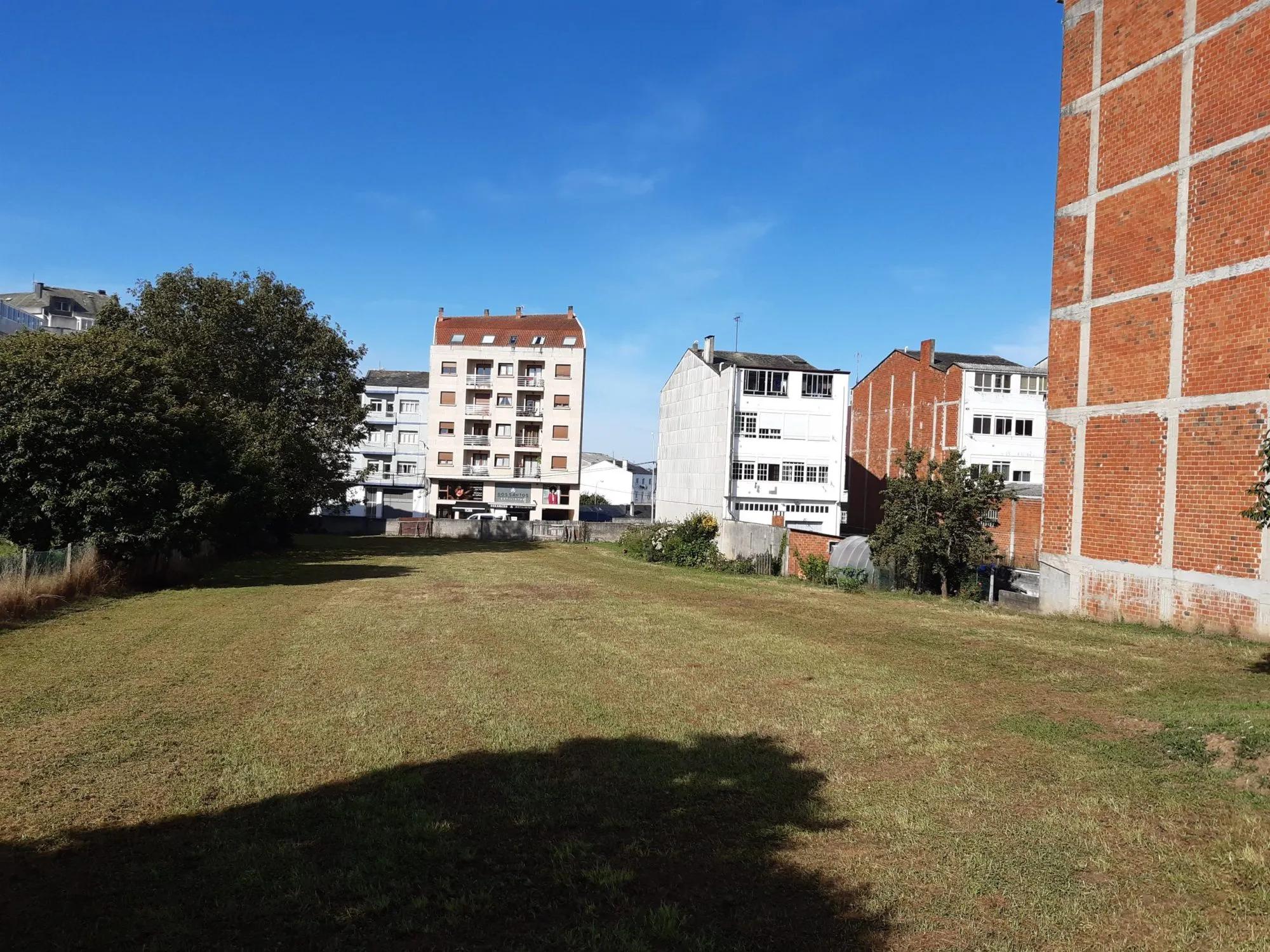 Day 6 image 4