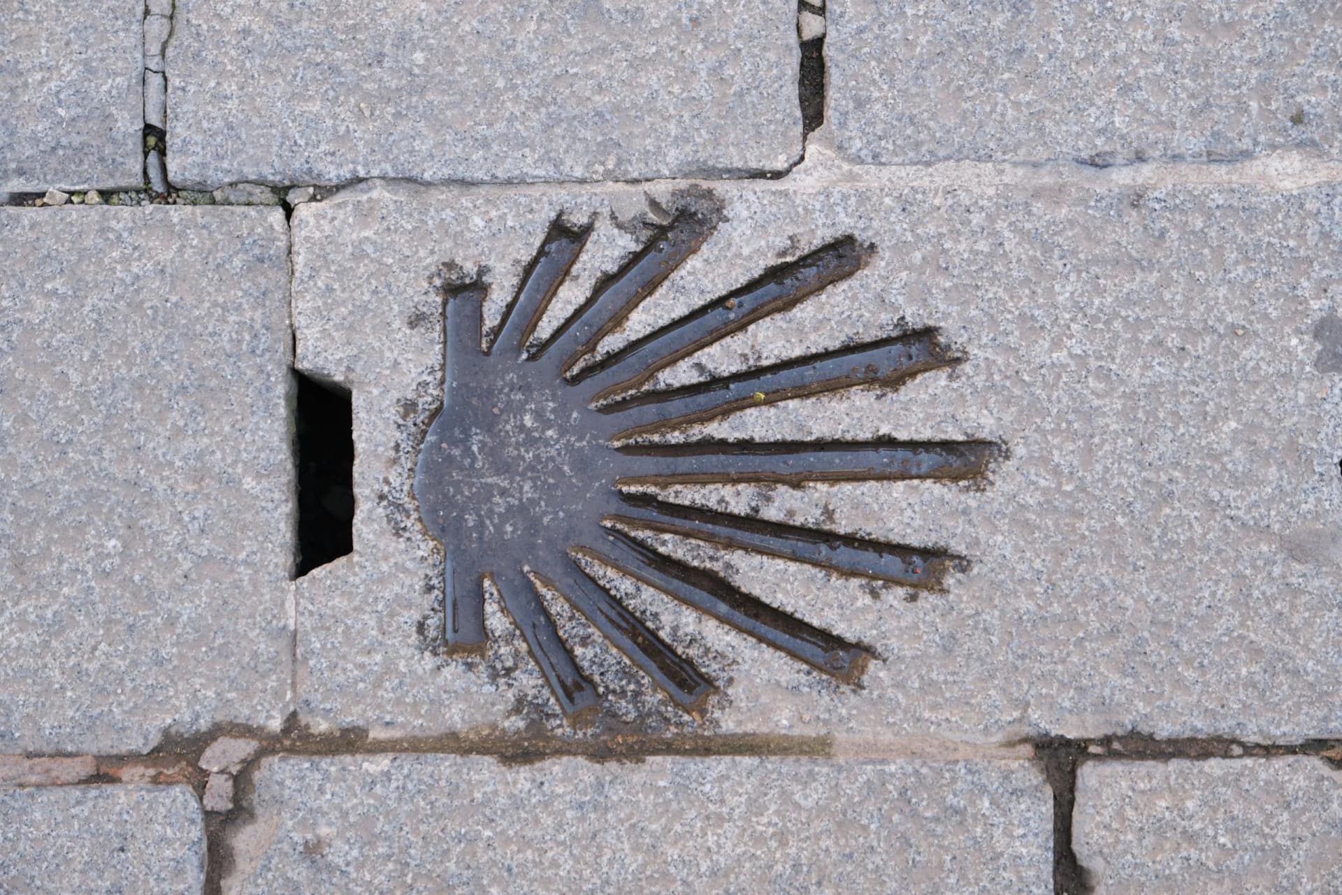 Directional signs on the Way of St. James as it passes through Santo Domingo de la Calzada in the Xacobean year.