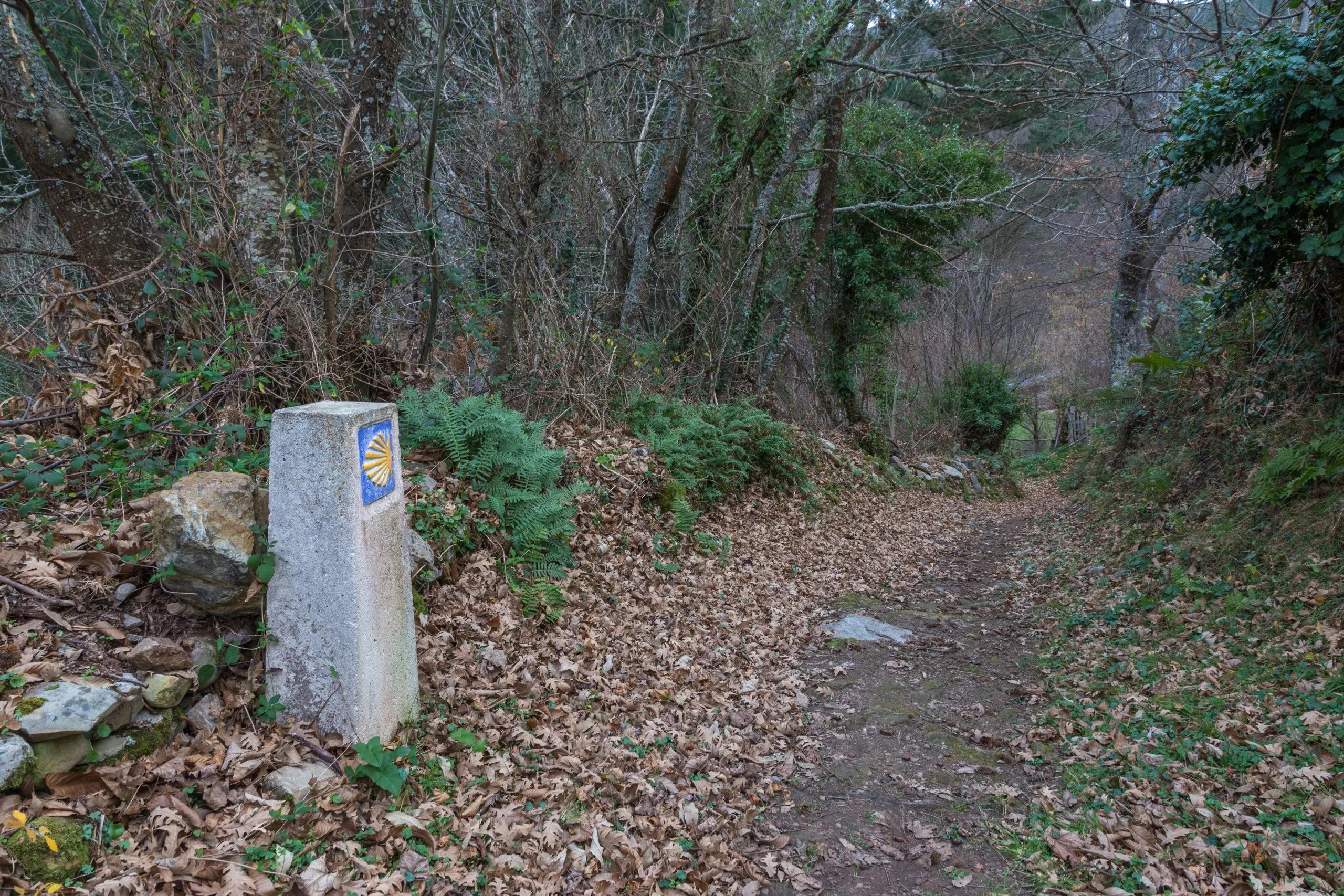 Day 4 image 3