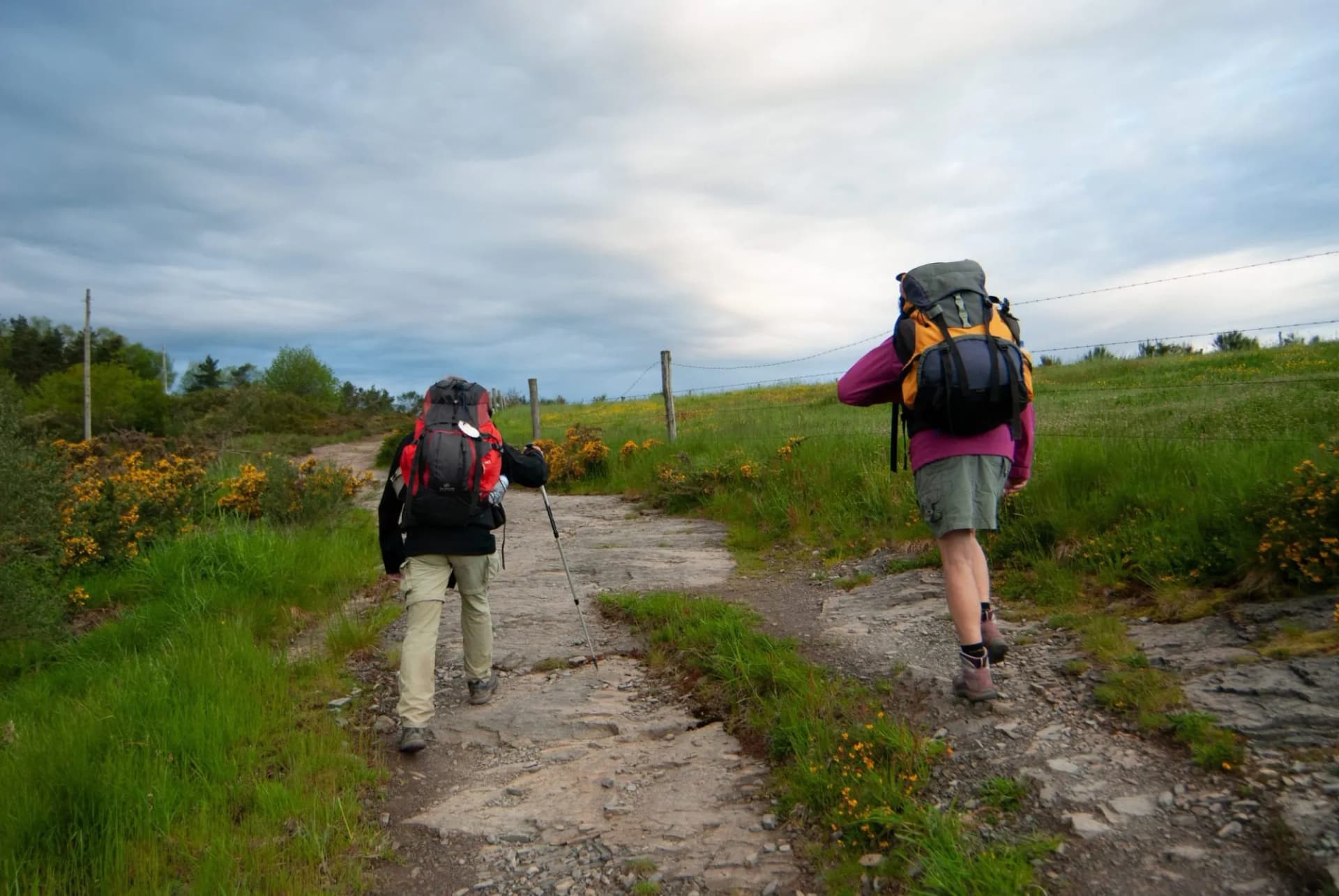 Peregrinos en el Camino de Santiago Primitivo entre las localidades asturianas de Berducedo y La Mesa.