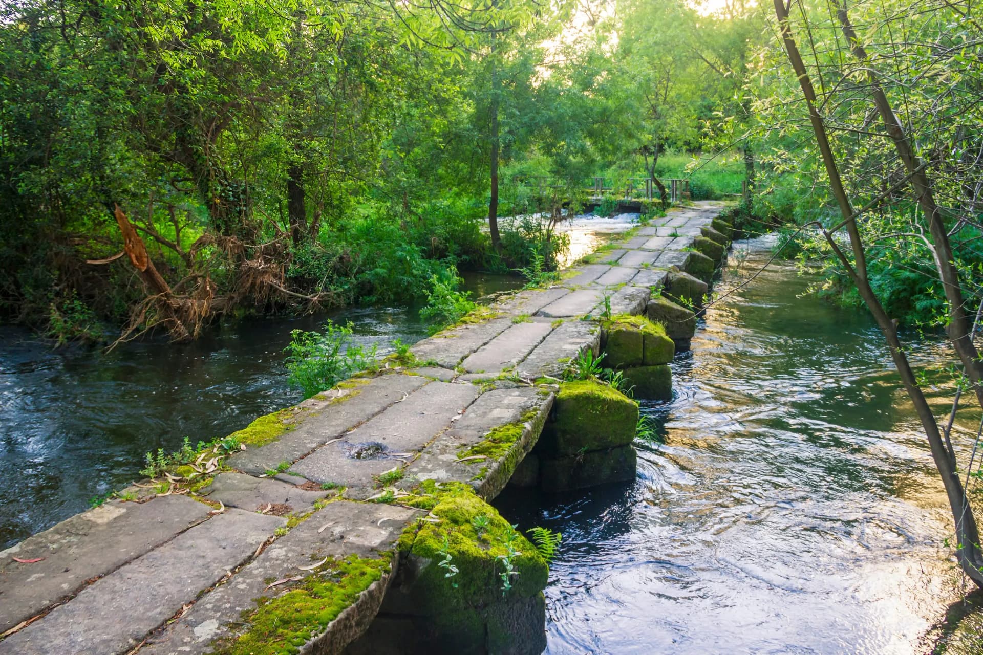 Stone footbridge crossing a river surrounded by lush green forest foliage.