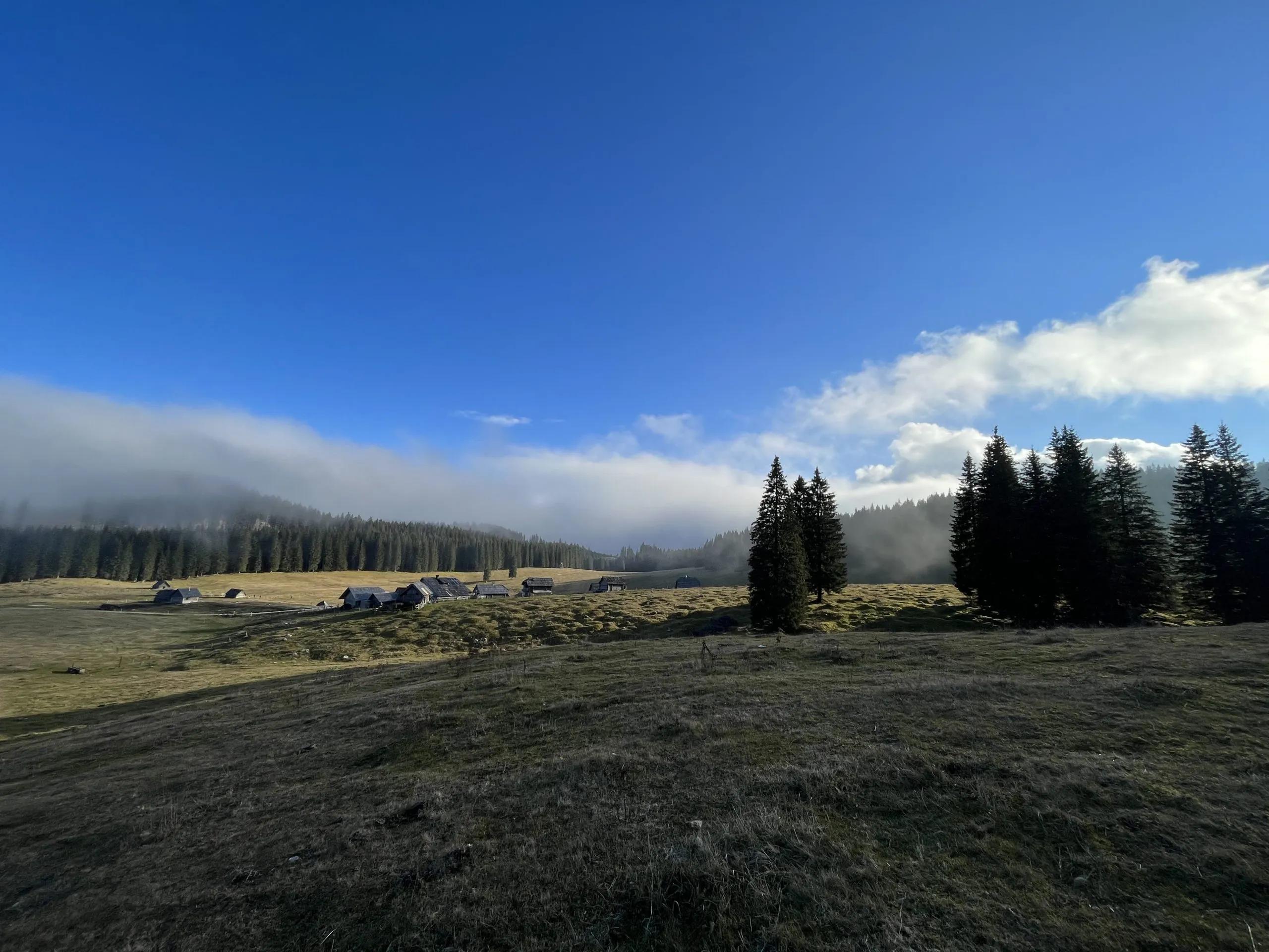 Day 5 image 2