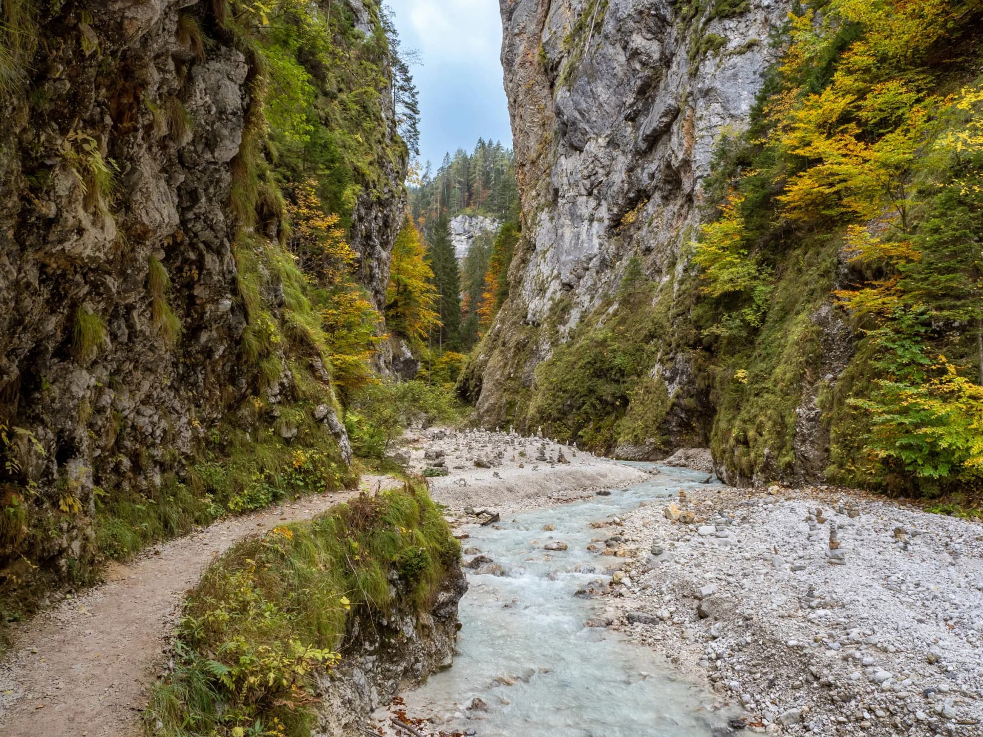 Hiking trail beside a river gorge with steep mossy cliffs and autumn foliage in Martuljek.