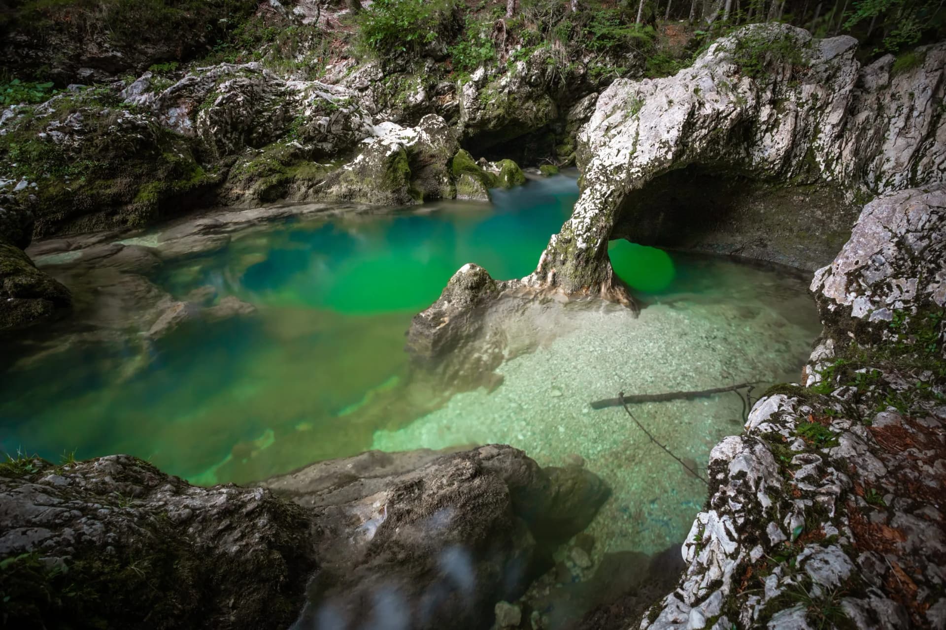 Emerald pool in Mostnica Gorge, Slovenia, surrounded by mossy limestone rocks and forest.