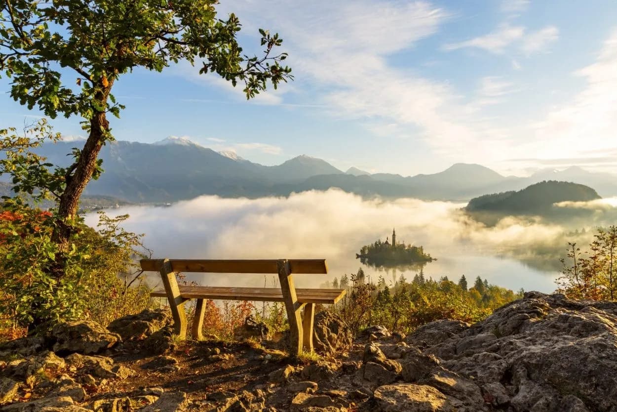 Wooden bench viewpoint overlooking Lake Bled island church above morning fog and mountains.