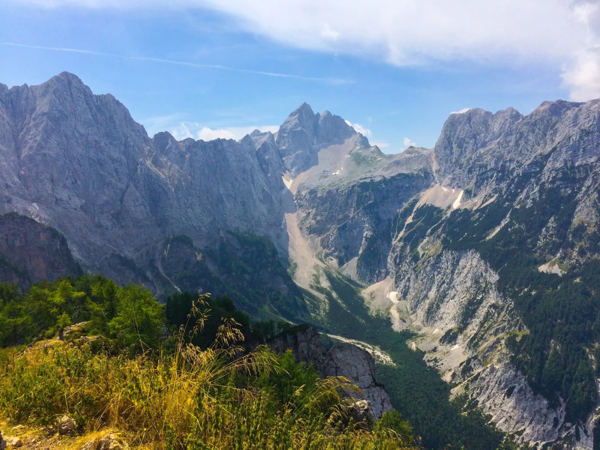 Rugged mountain peaks above a forested valley, viewed from a grassy overlook under a blue sky.