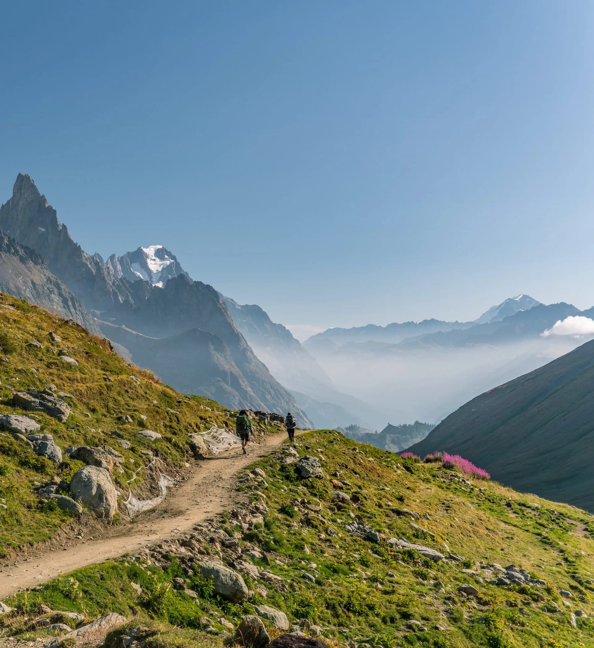 Hikers on dirt trail traversing grassy alpine slope with rugged, snow-capped mountains in background