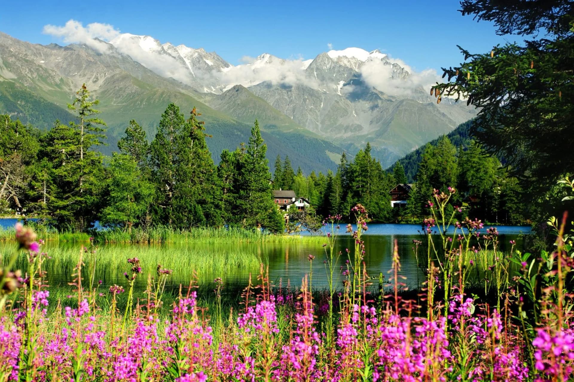 Alpine lake with pink wildflowers, green forest, and snow-capped mountains under blue sky
