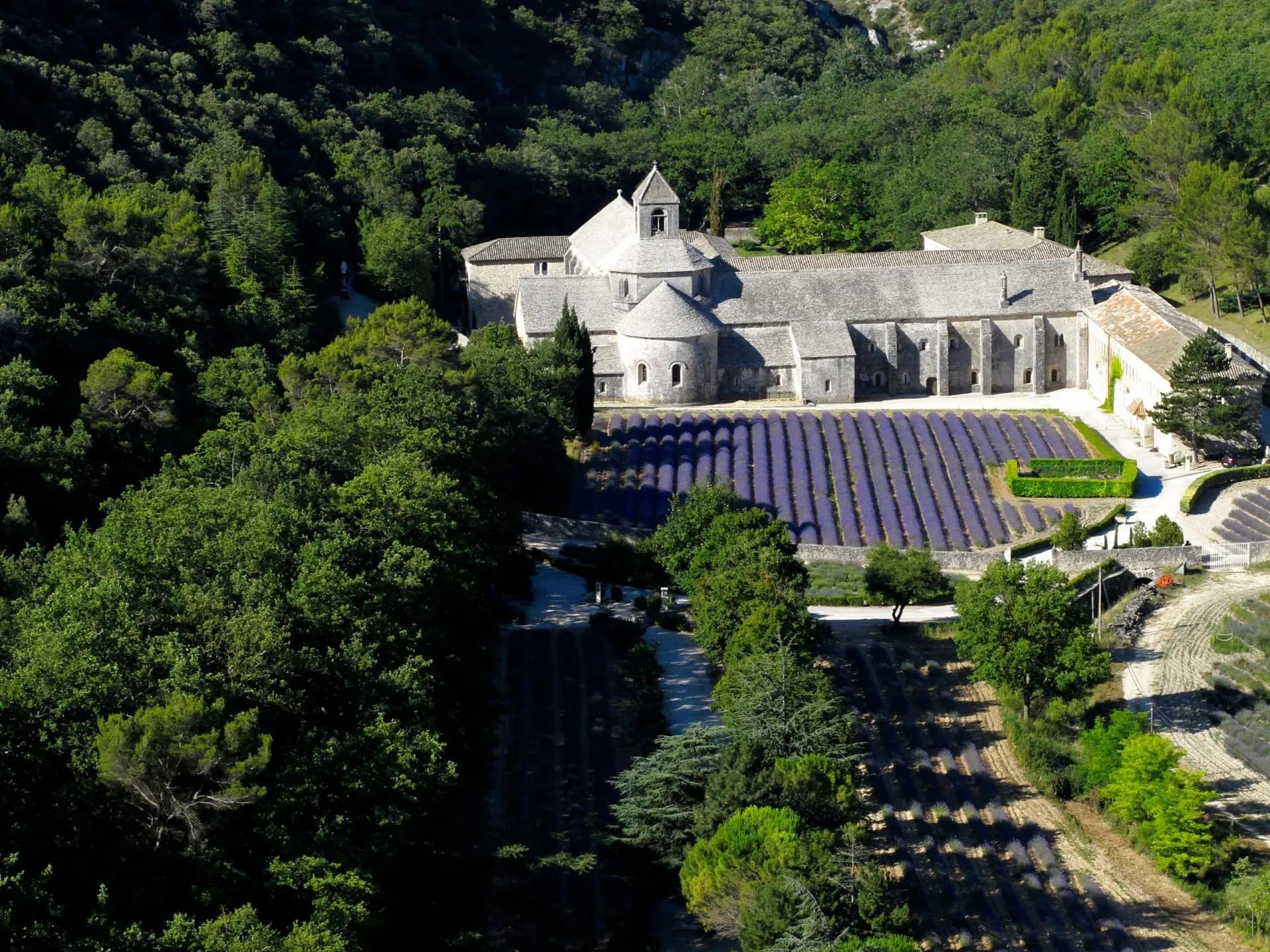 Abbey de Sénanque surrounded by green forest and blooming lavender fields in Provence.