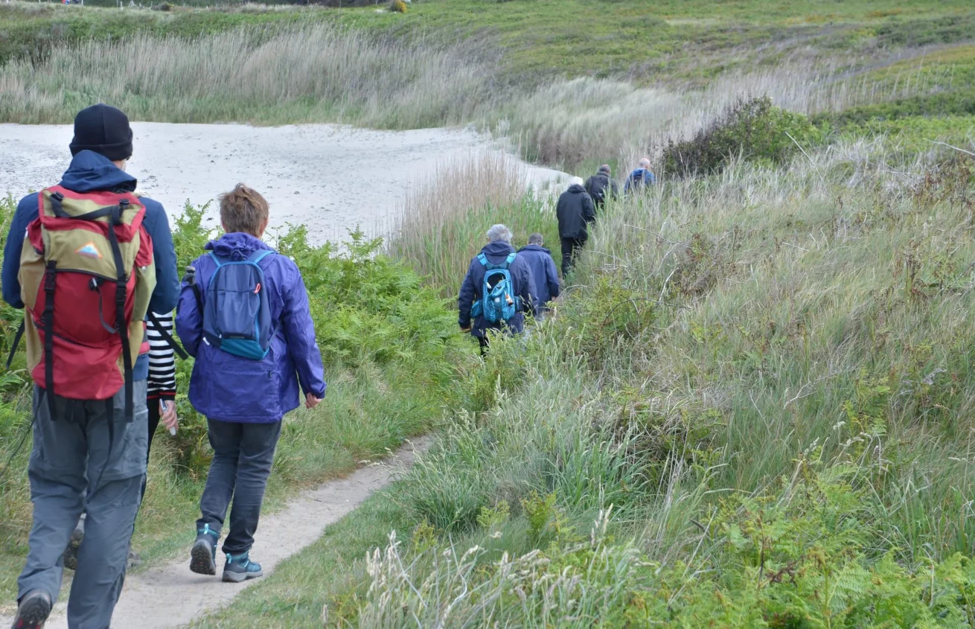 Hikers with backpacks walking on a dirt path through tall grass near a sandy area near Landrellec.