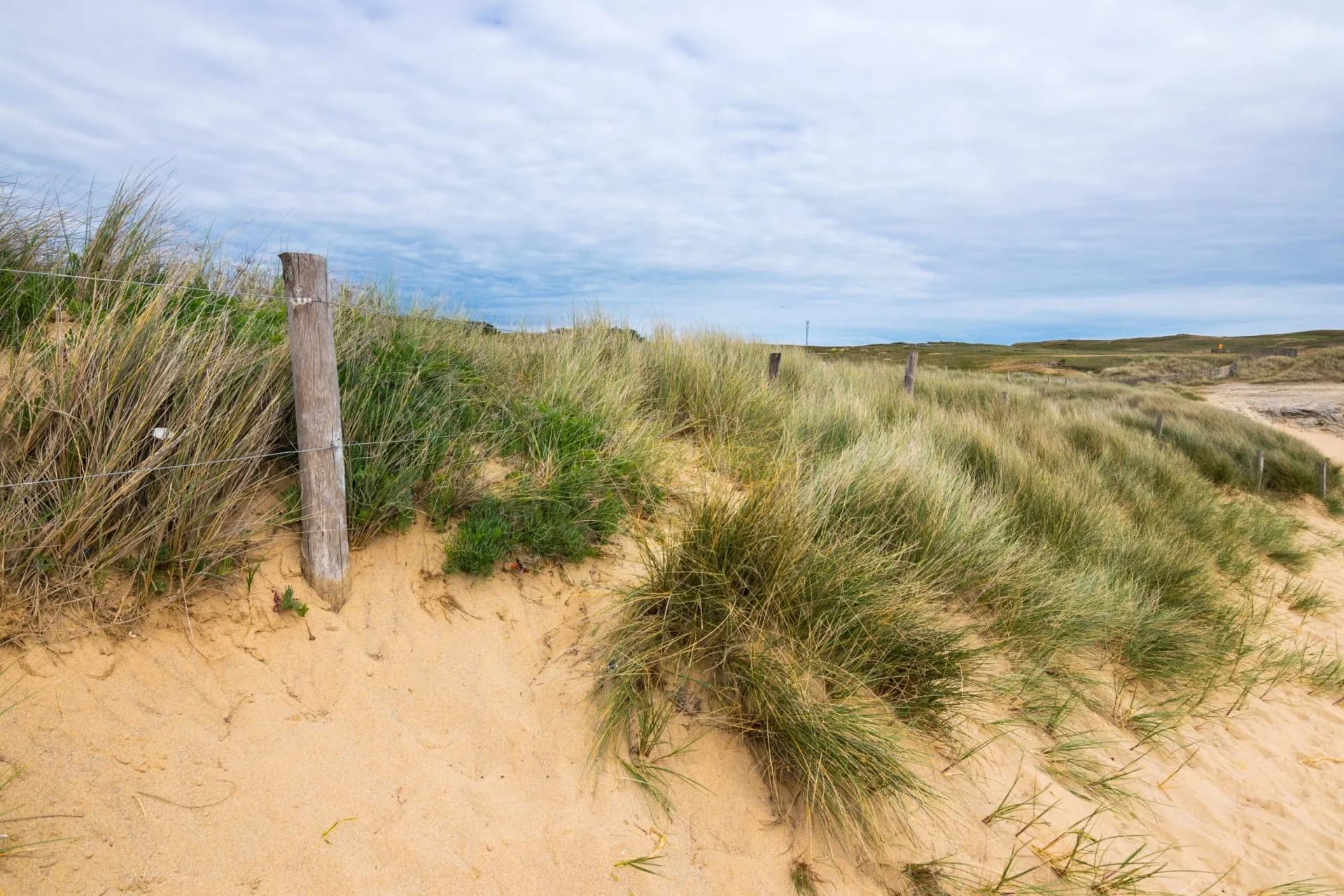 Sand dunes with tall dune grass and wooden fence posts under a cloudy sky, Brittany coast.