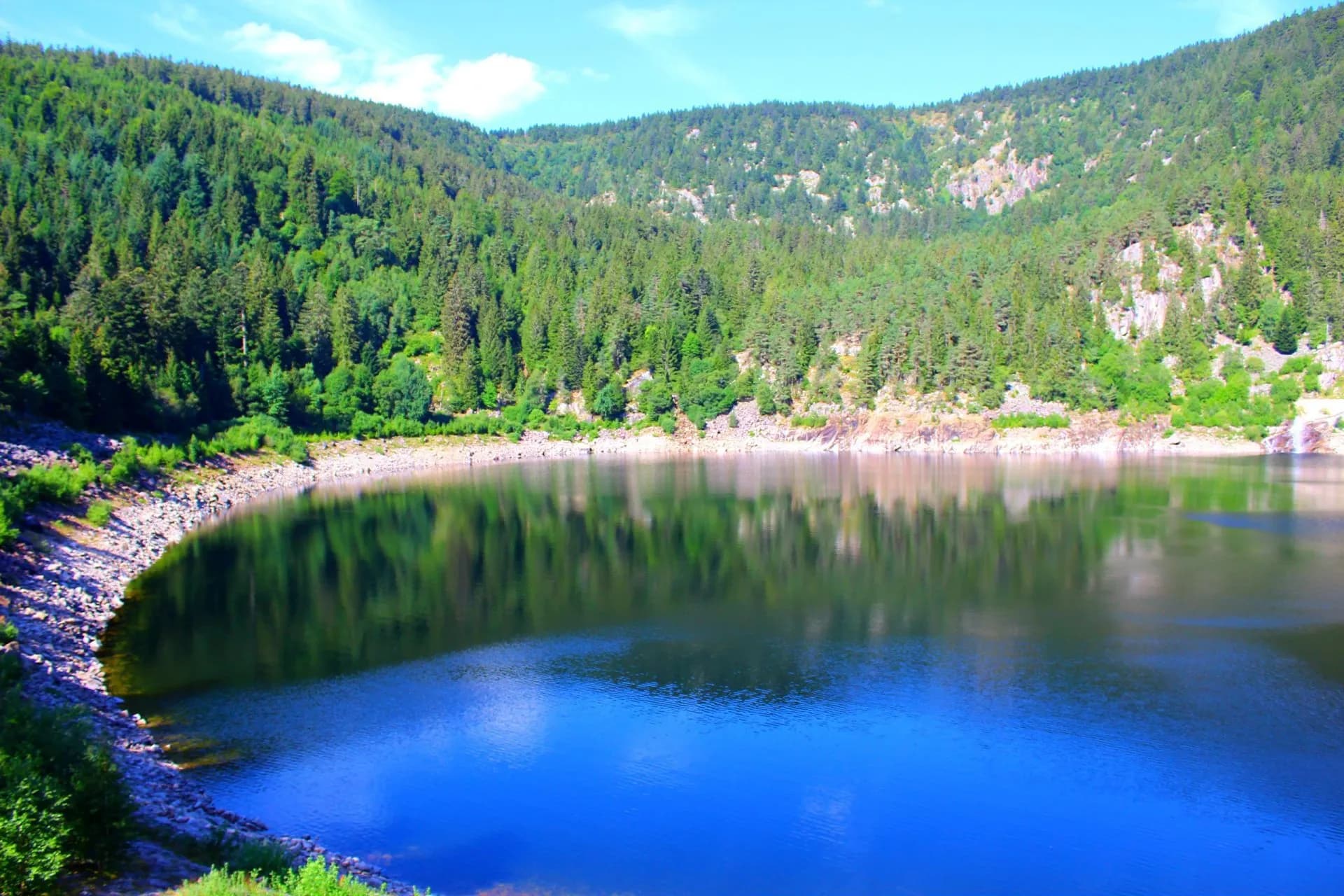 Calm lake reflecting dense green forested mountains under a blue sky.
