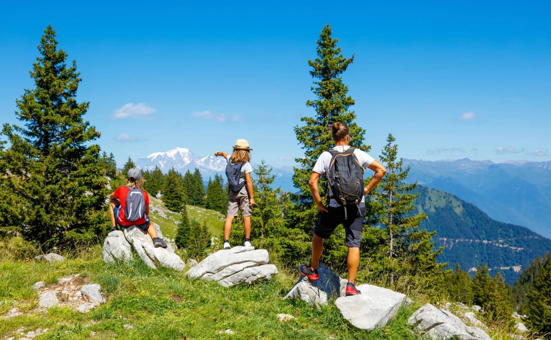 Hikers with backpacks viewing snow-capped mountains from a grassy alpine overlook in the Vosges.