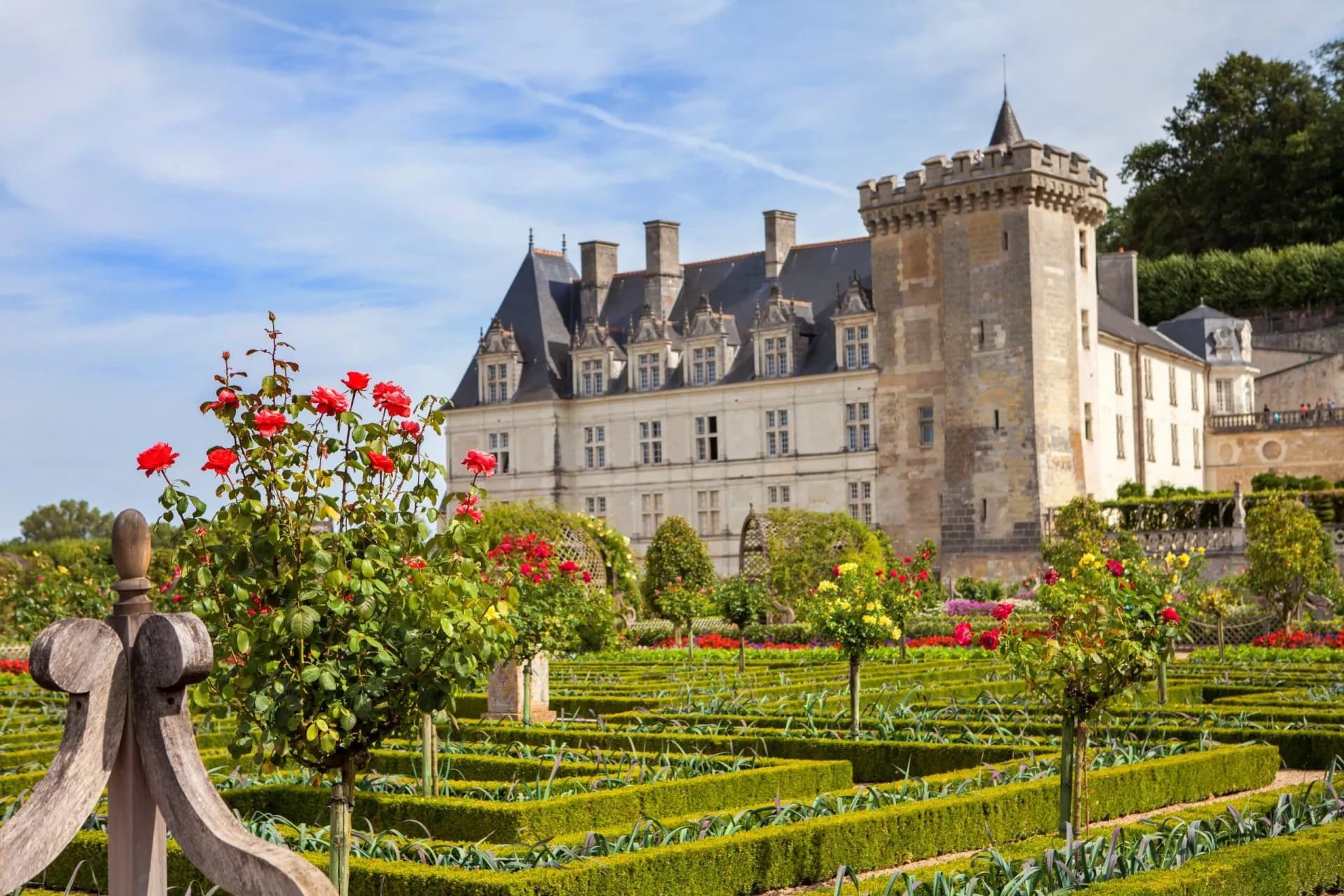 Chateau de Villandry gardens with manicured hedges, red roses, and castle in background.