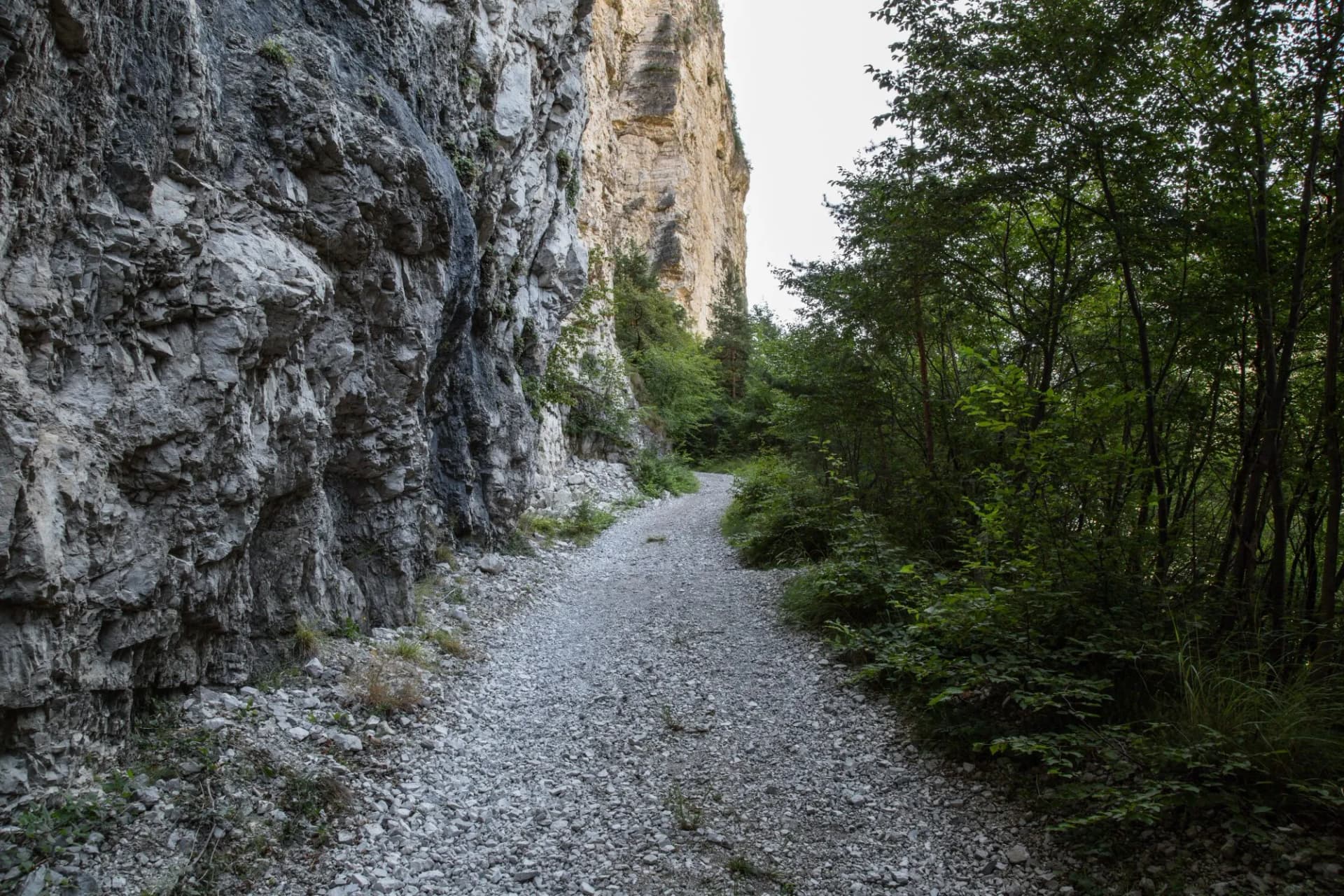 Gravel path winding between steep rocky cliffs and dense green forest foliage