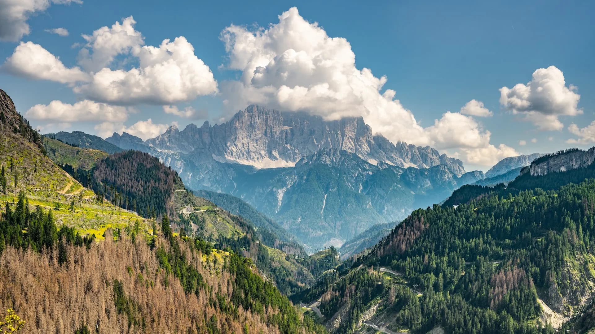 Rugged mountain range with rocky peaks under clouds, viewed over green and brown forested slopes.