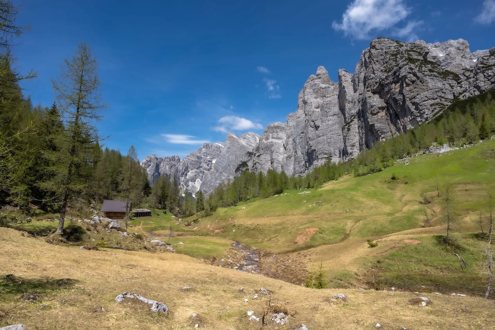 Alpine valley with steep rocky mountains, green meadows, and a small wooden hut near Forcella Camp Passo Duran.