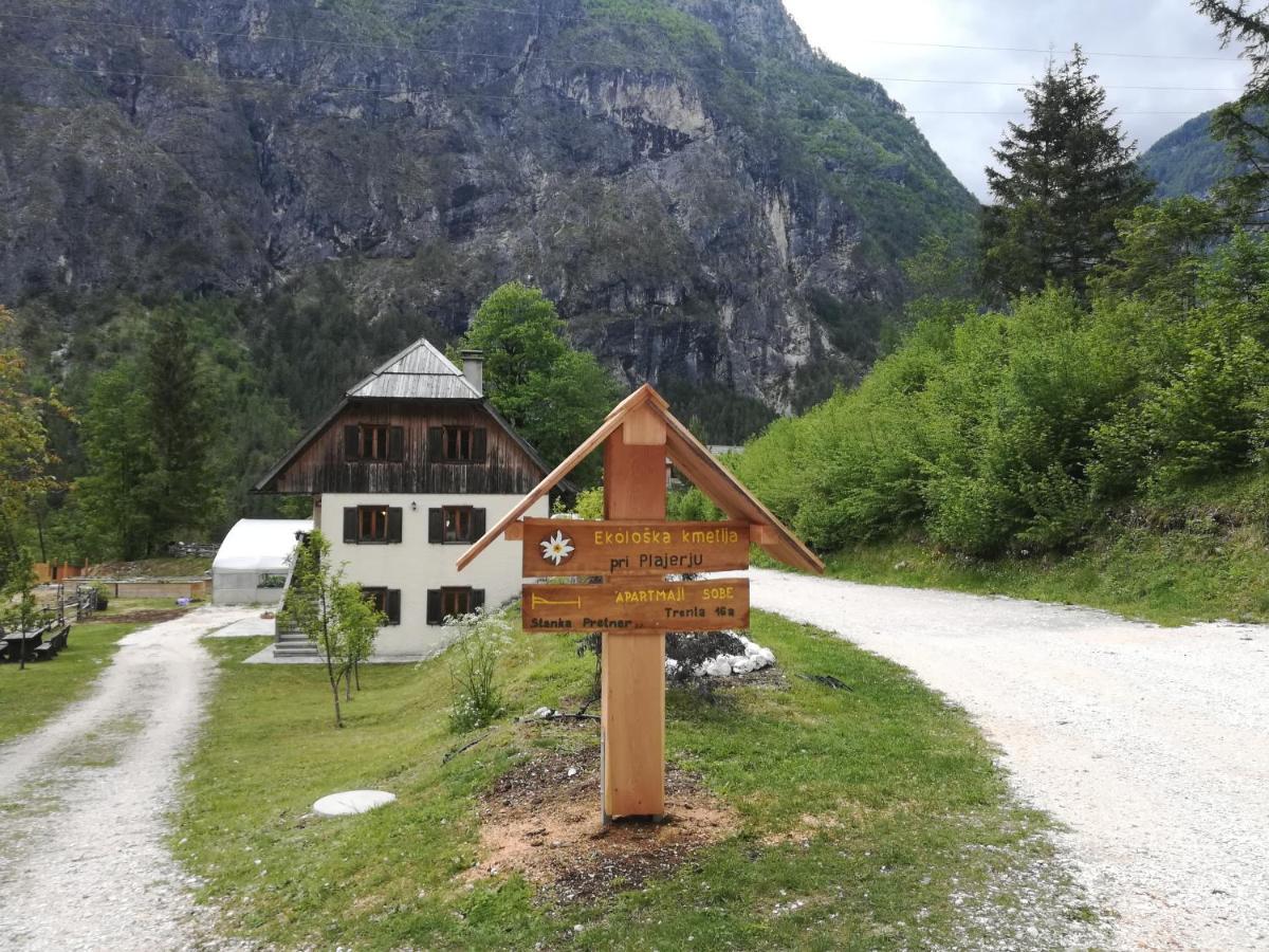 Organic Tourist Farm Pri Plajerju image 1
