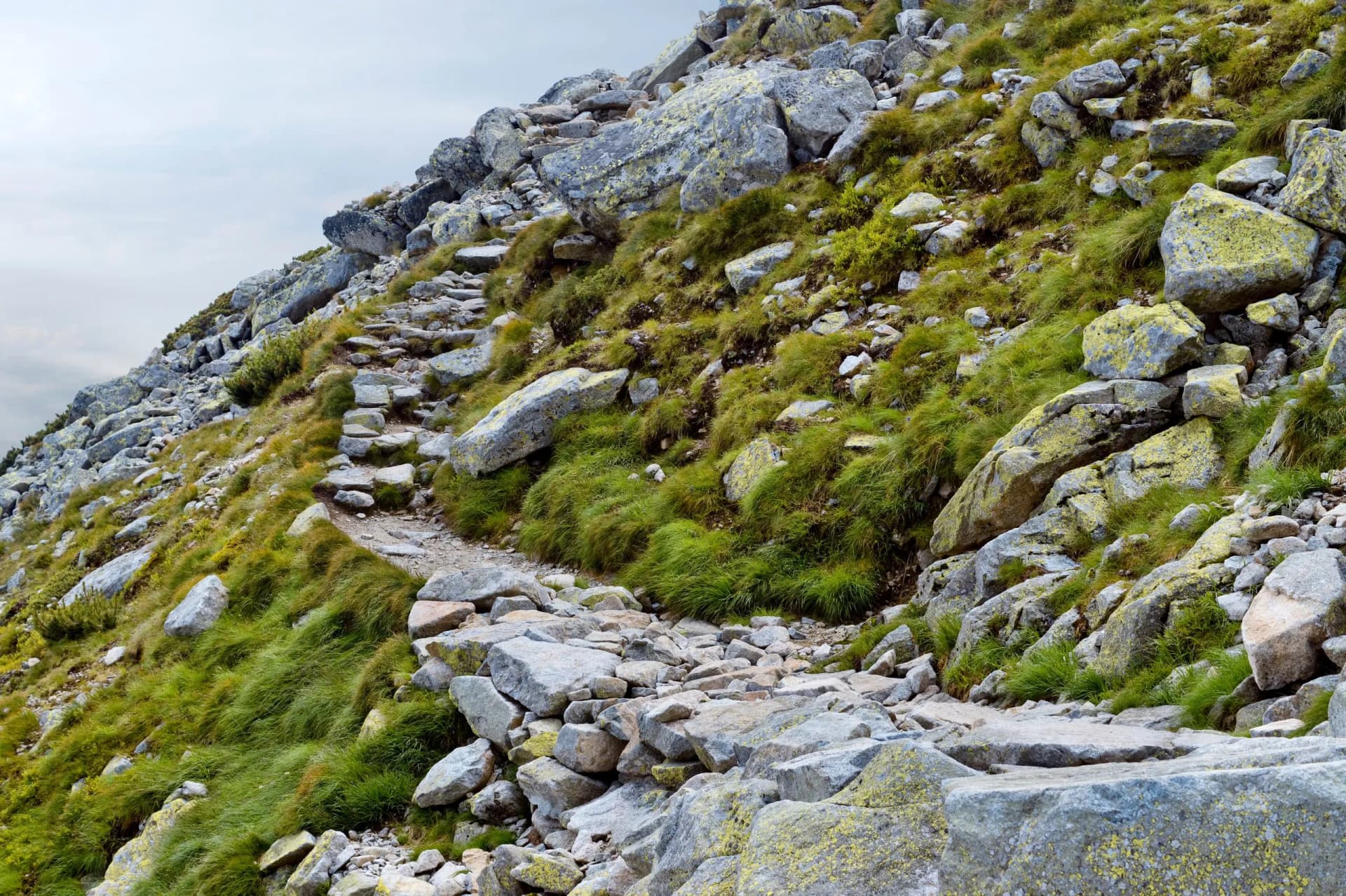 Rocky hiking trail ascending a steep slope with green grass and lichen-covered boulders, Velka Svistovka, Tatras.
