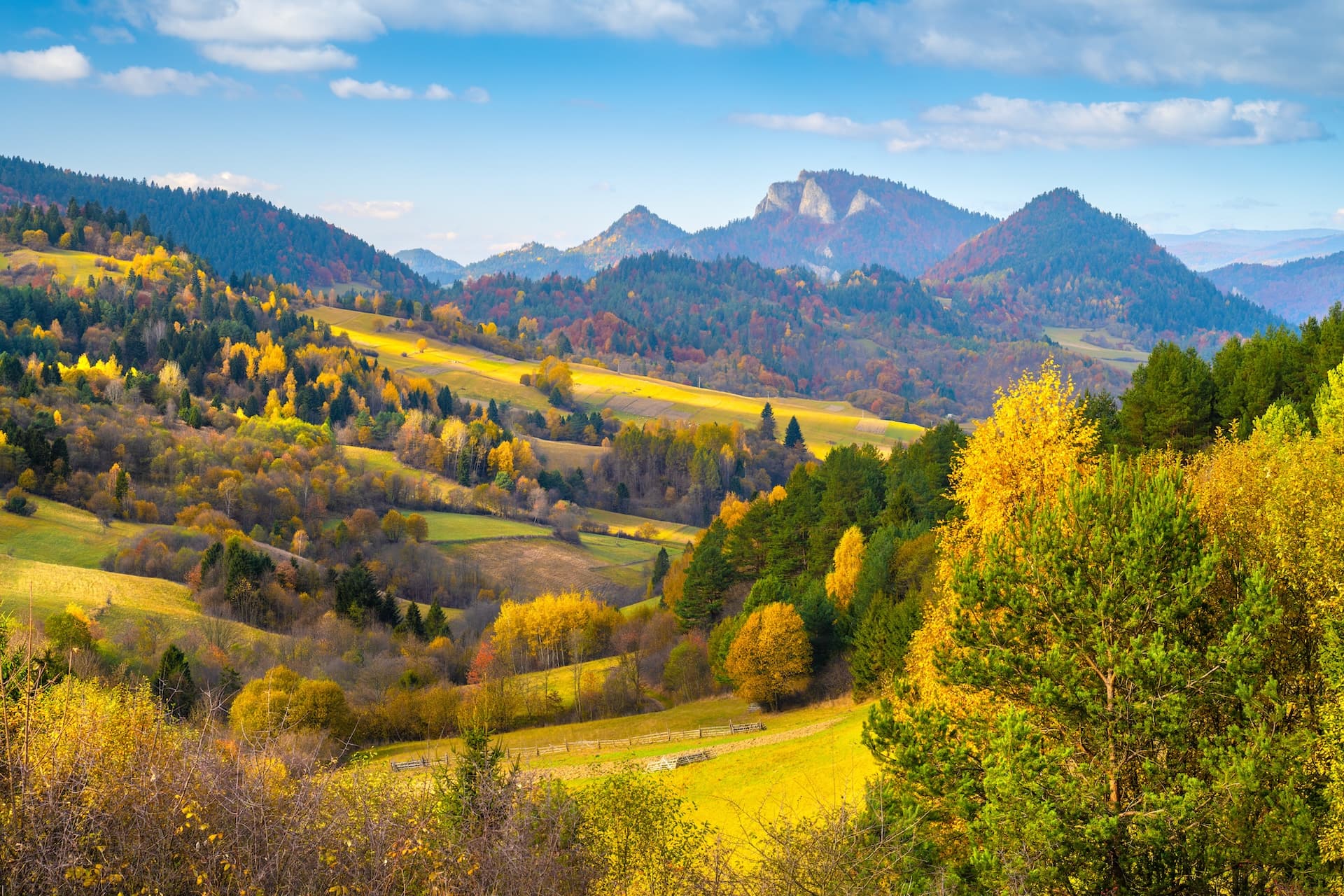 Rolling hills and mountains covered in autumn foliage and green forests under a blue sky in Poland.