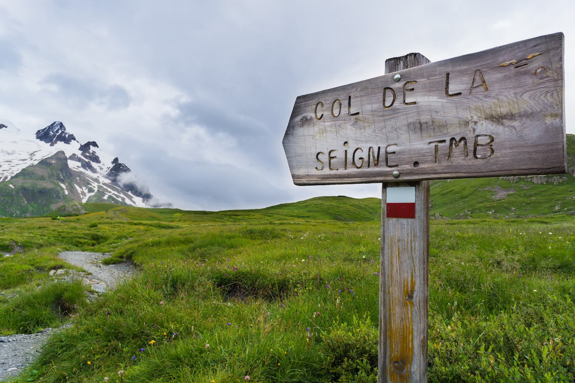 Wooden trail sign for Col de la Seigne TMB pointing across a green alpine meadow toward snowy mountains.
