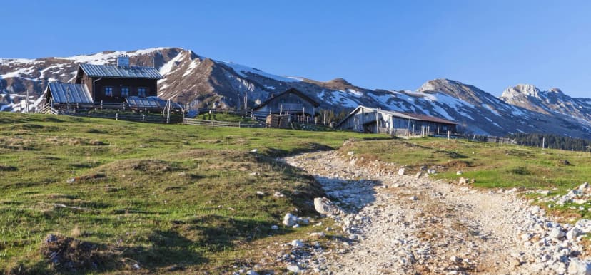 kofce mountain pasture