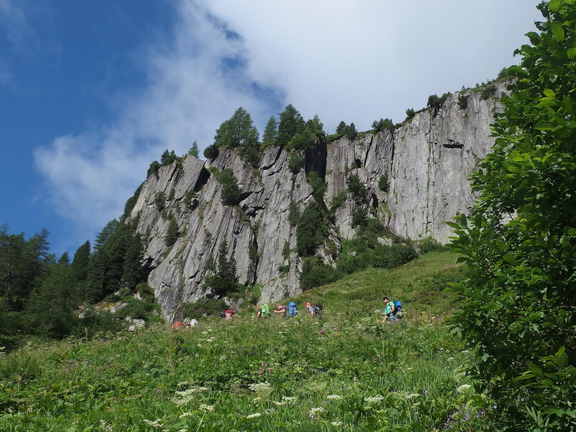 Hikers with backpacks ascending a grassy meadow below a steep, rocky cliff face near Col du Balme.