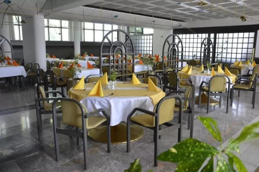 Alp Hotel image 6