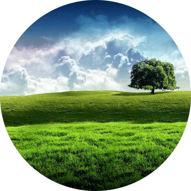 Min Su Byun's profile photo