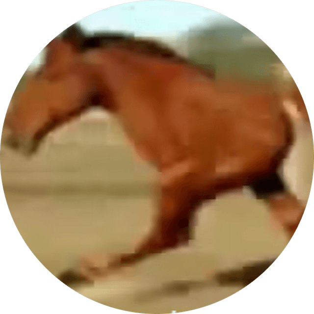 Victor Liu's profile photo