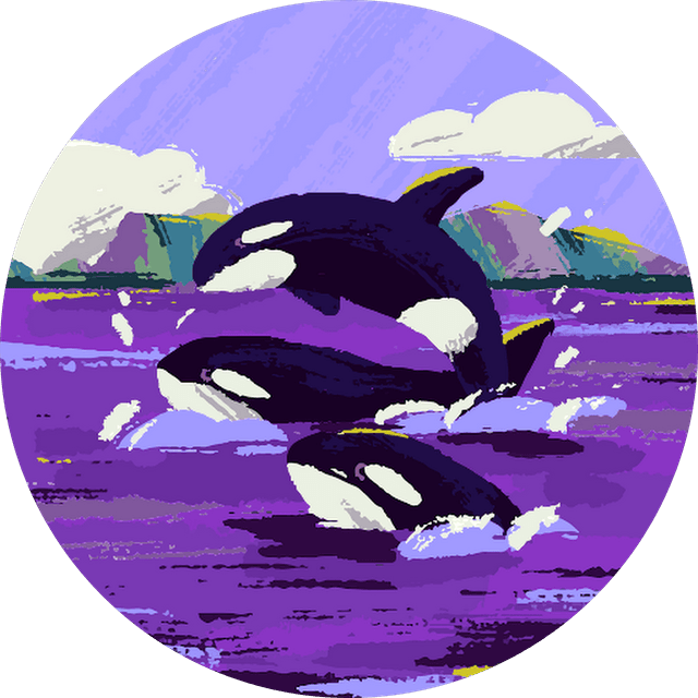 Utku Unver's profile photo