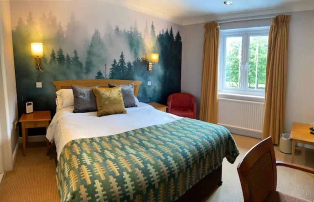 The Waterloo Hotel image 1