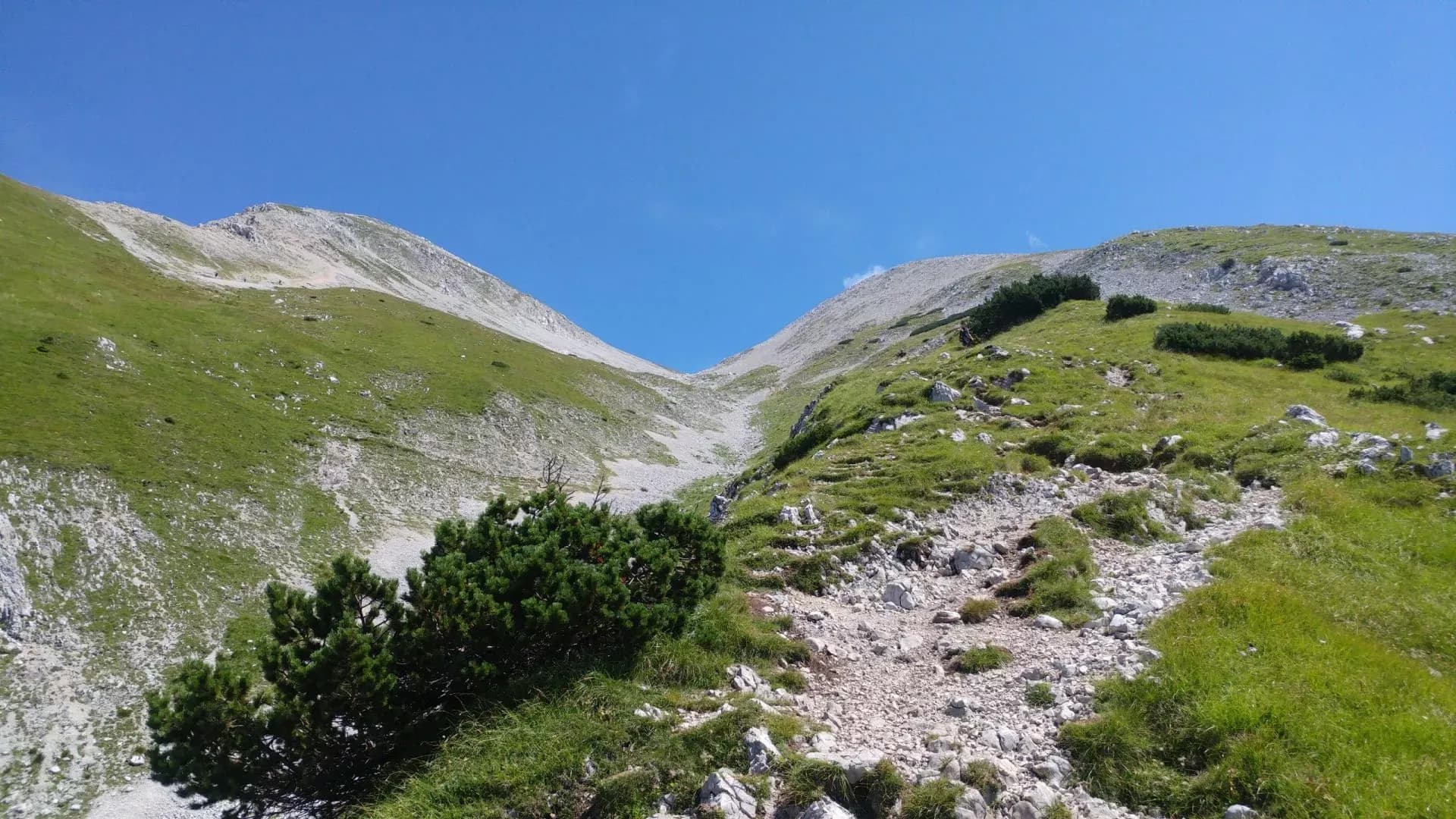 Hiking trail through grassy, rocky alpine terrain toward a mountain saddle under a clear blue sky.
