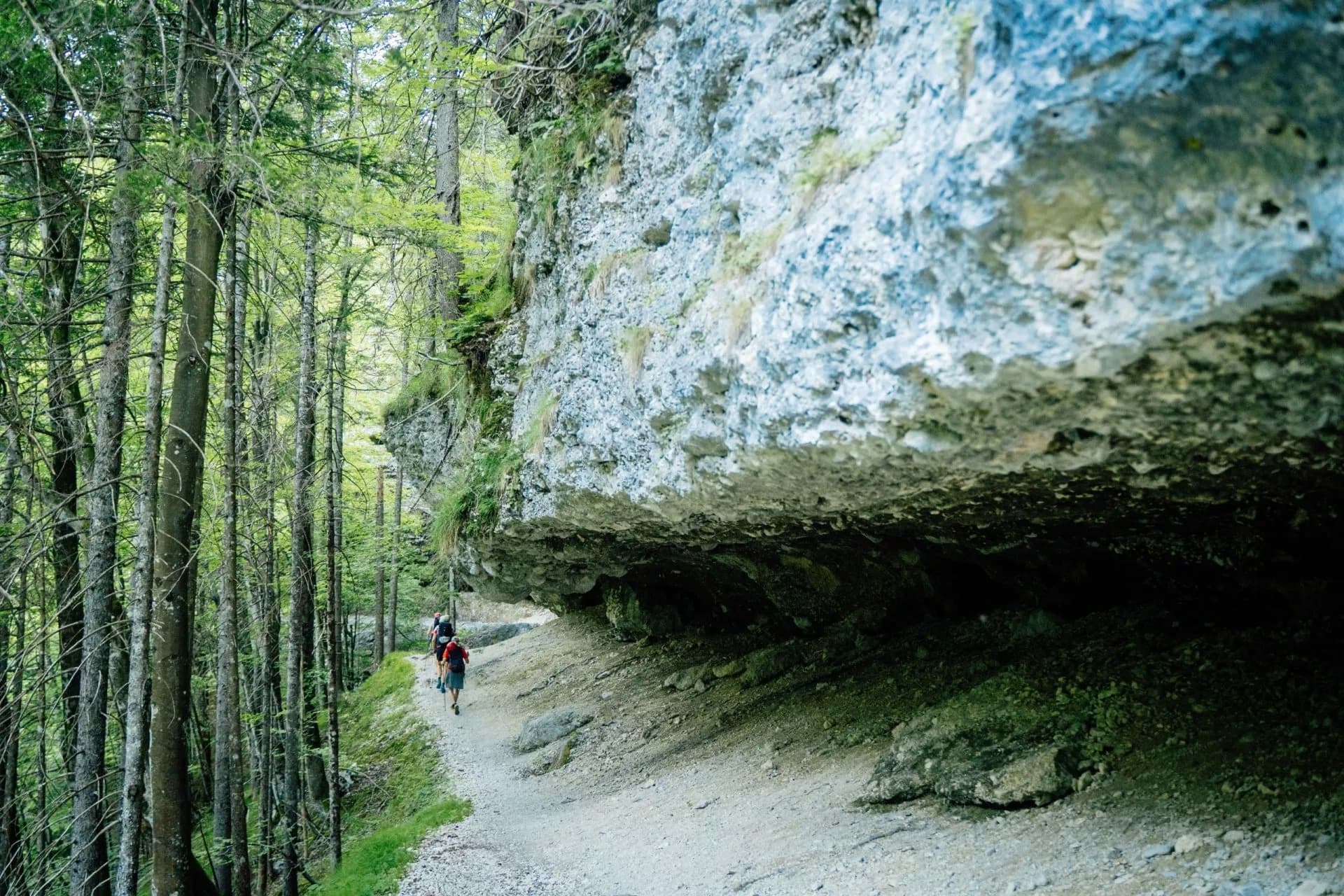 Hikers walking a trail beneath a massive rock overhang in a dense green forest.