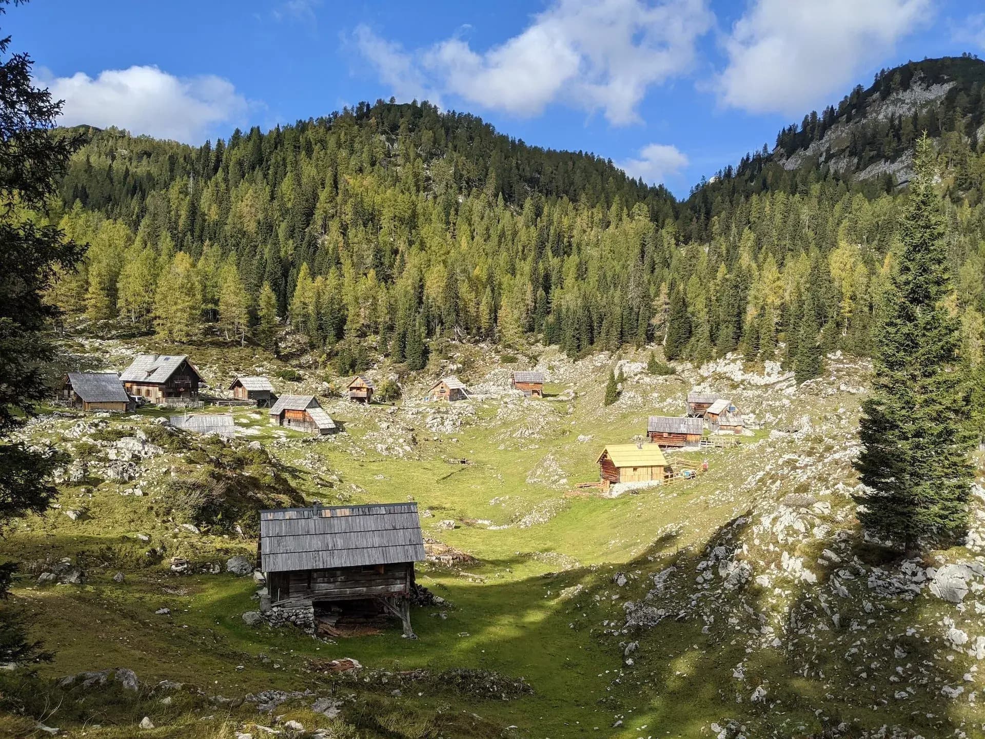 Wooden shepherd huts in a grassy alpine pasture below a dense pine forest under a blue sky.