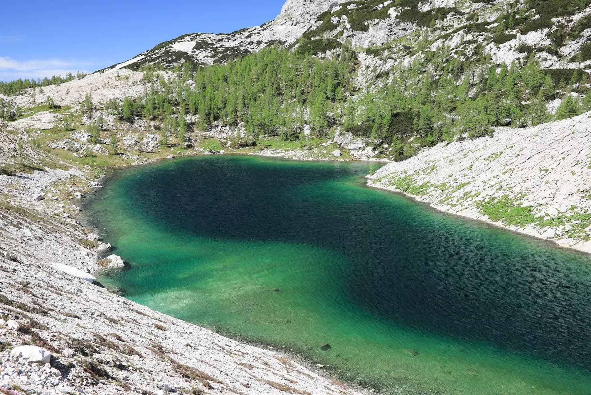 Emerald alpine lake surrounded by rocky slopes and sparse green trees under blue sky