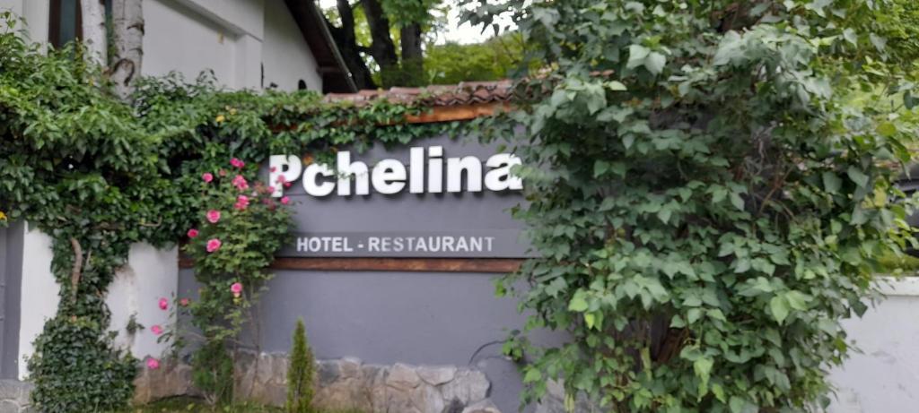 Hotel Pchelina image 1