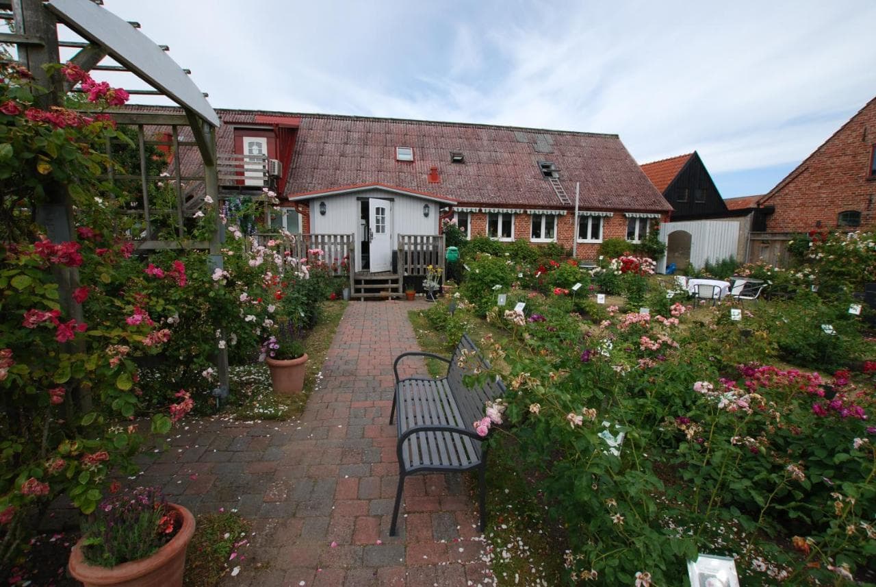 Rose garden pathway leading to buildings at Hotell Turistgården in Simrishamn.