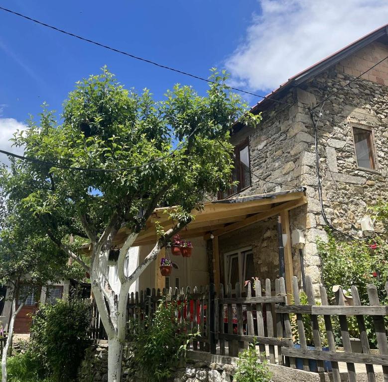 Guest House GURI image 2